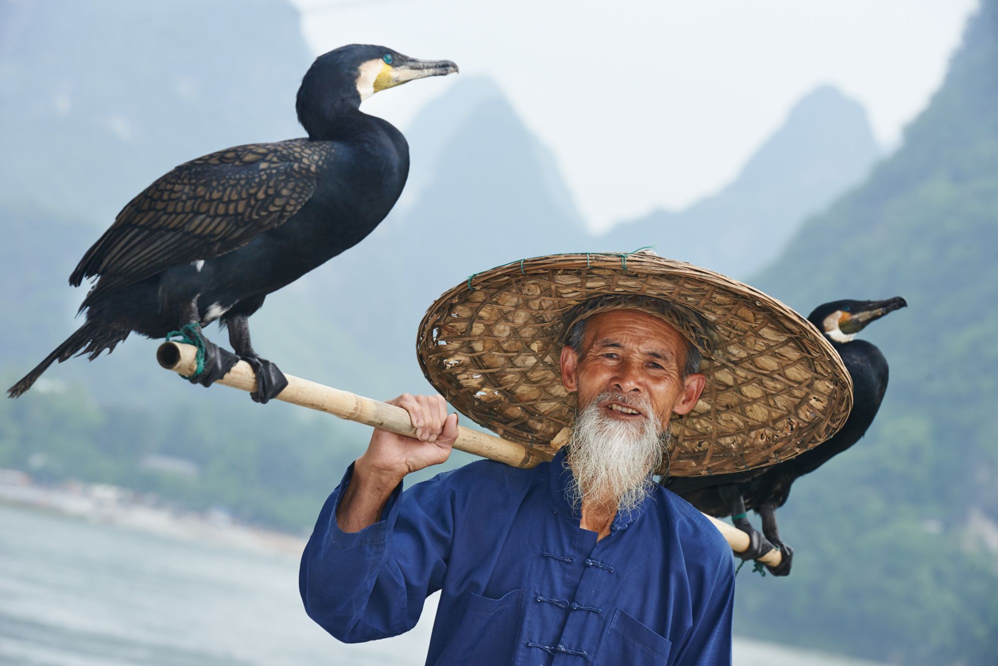 Rizières en terrasses & paysages montagneux de Guilin: Yangshuo: Fisherman