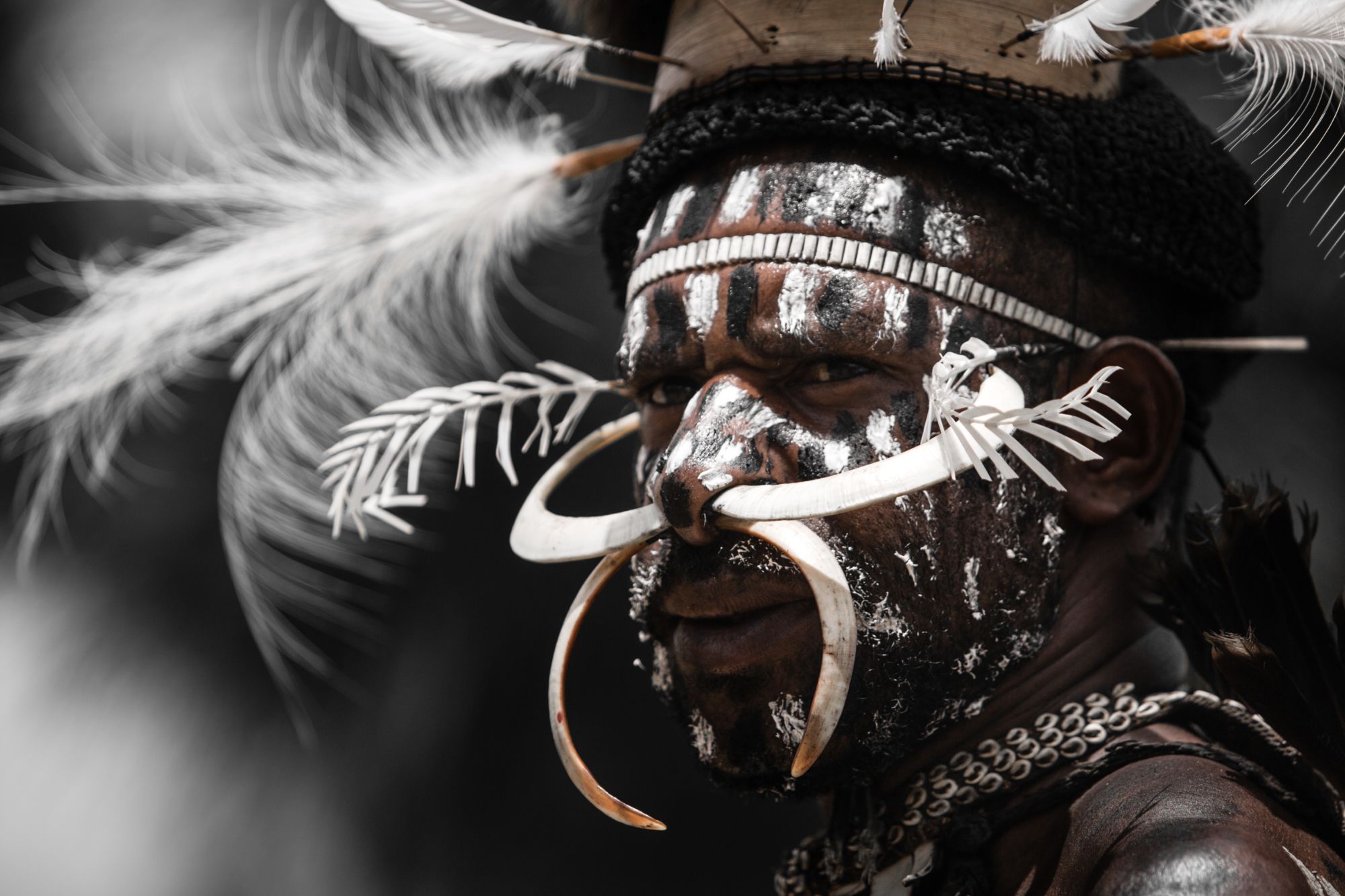 Papua - Reise in eine andere Zeit ab Jayapura: Papua | Baliem Valley | Dani man
