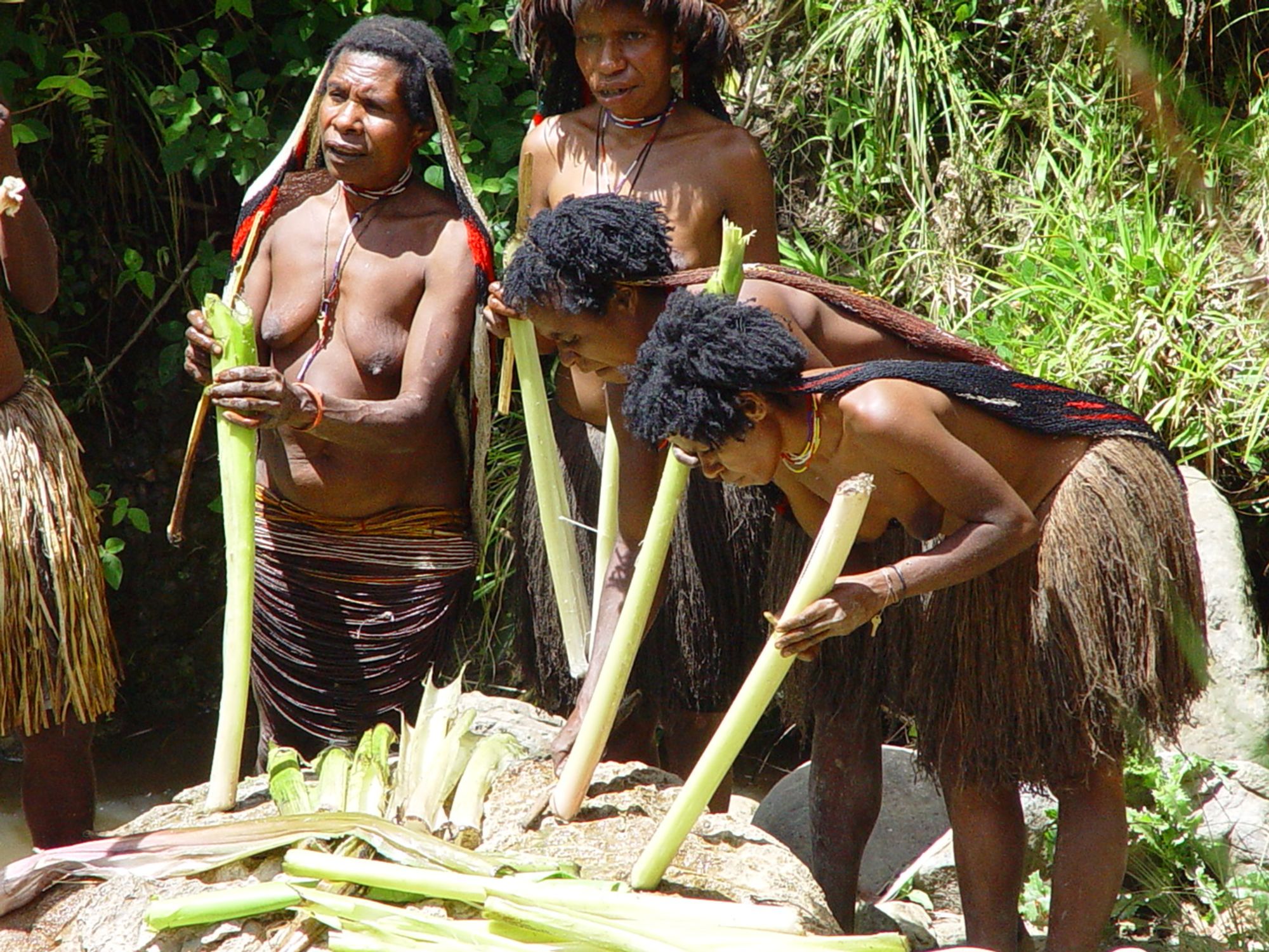 Papua - Reise in eine andere Zeit ab Jayapura: Papua | Baliem Valley | Tribal woman