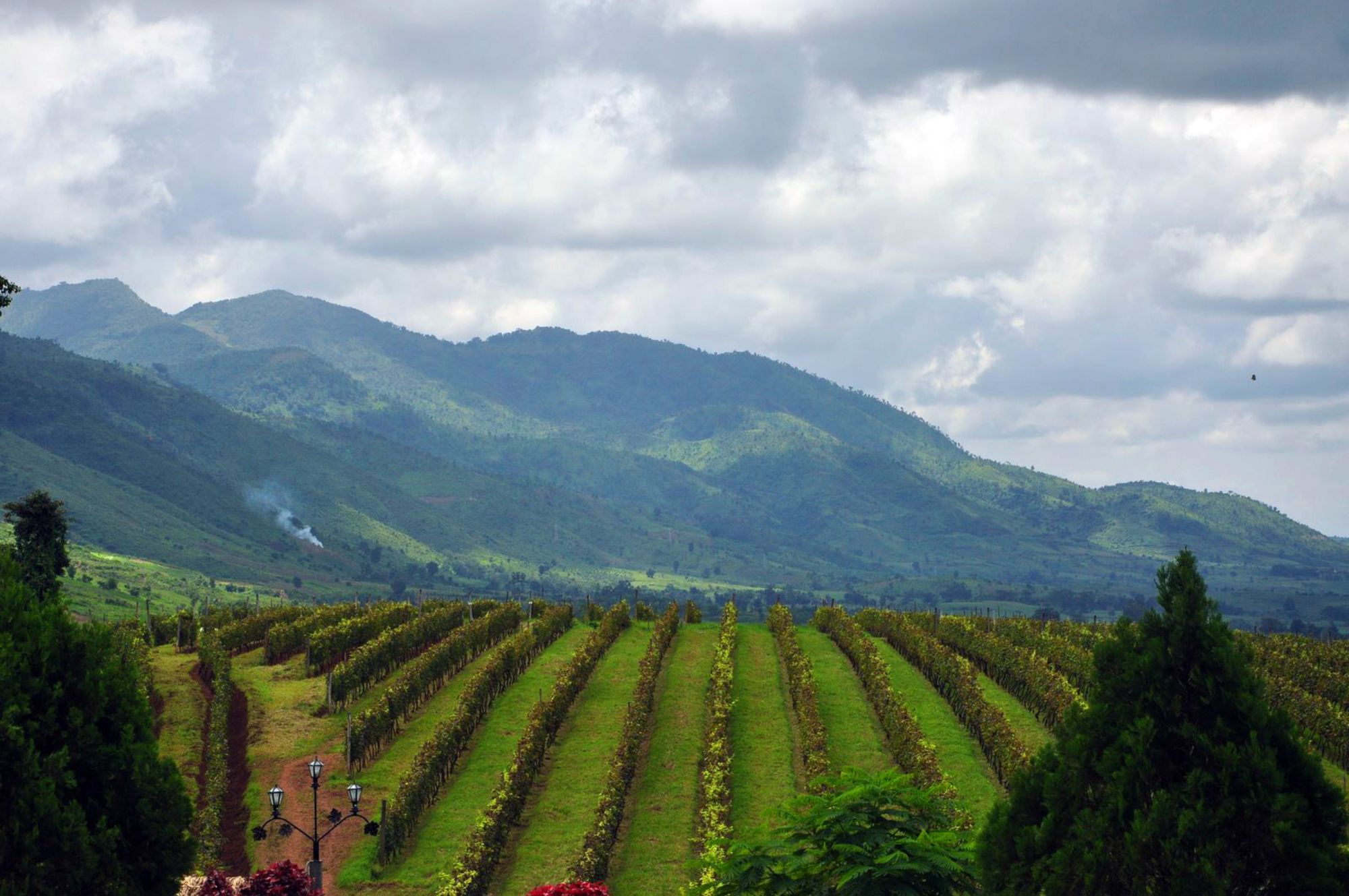 La fascination du Myanmar – un pays en mutation de Naypyitaw: Shan State: Aythaya Vineyard