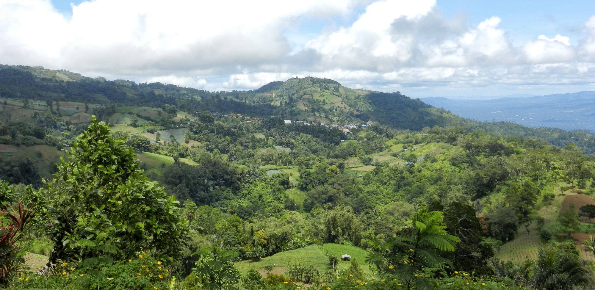 Au pays des Minahasa de Manado: Sulawesi Minahasa Highlands