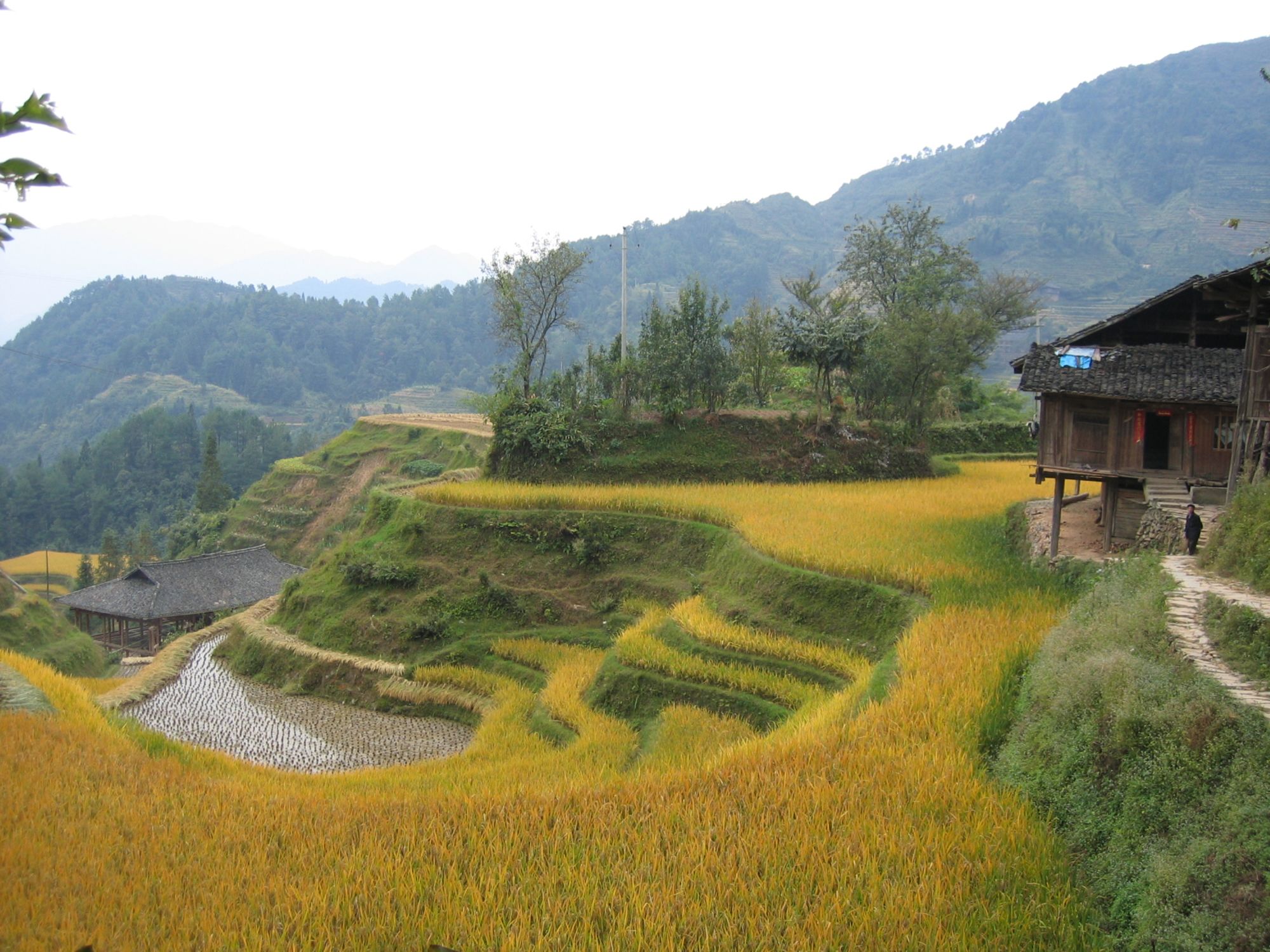 Rizières en terrasses & paysages montagneux de Guilin: Longsheng: small village
