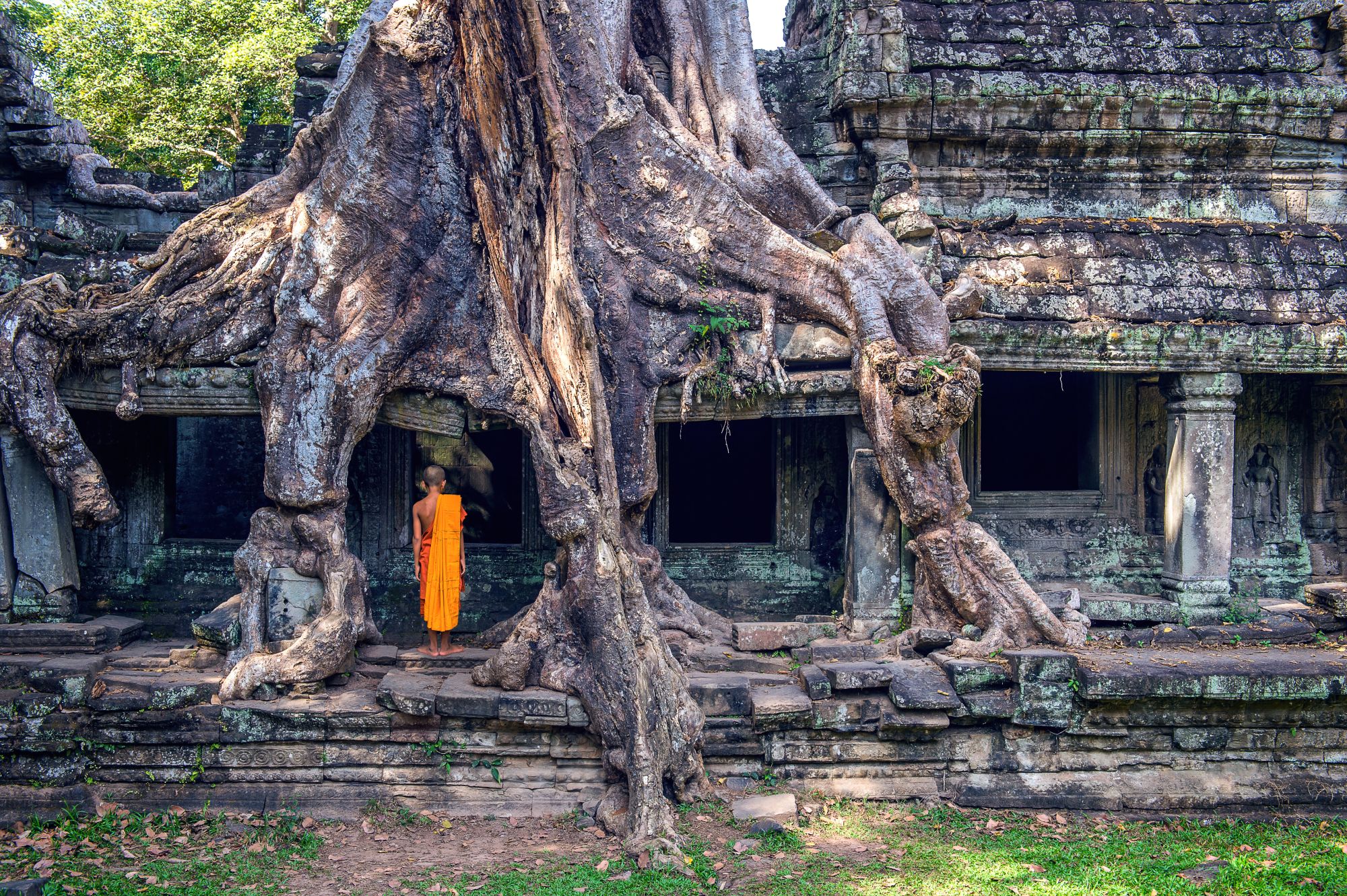 Les hauts lieux du Cambodge de Siem Reap: Siem Reap Ta Prohm Temple with Monk
