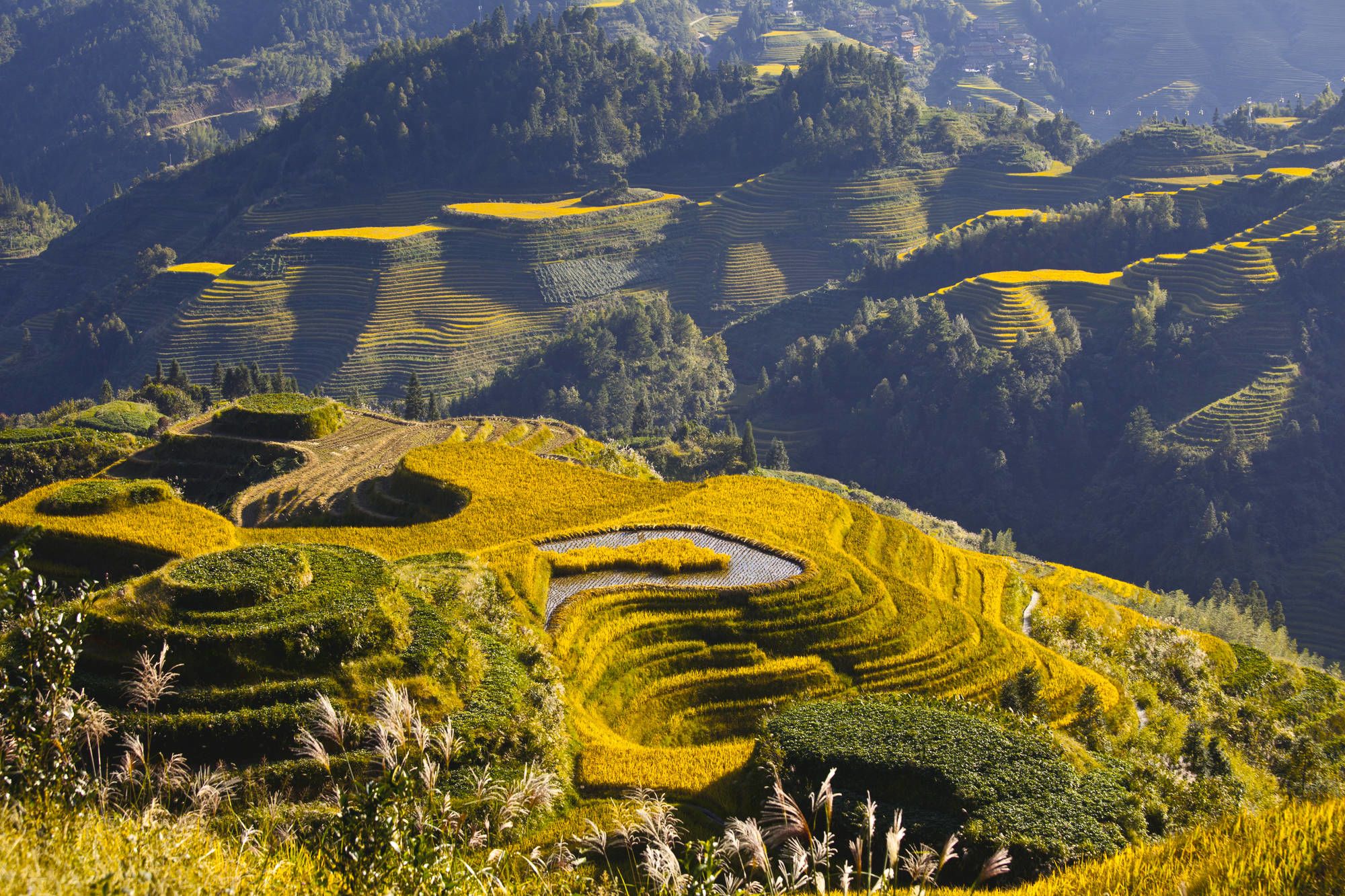 Rizières en terrasses & paysages montagneux de Guilin: Longsheng: Rice Terraces