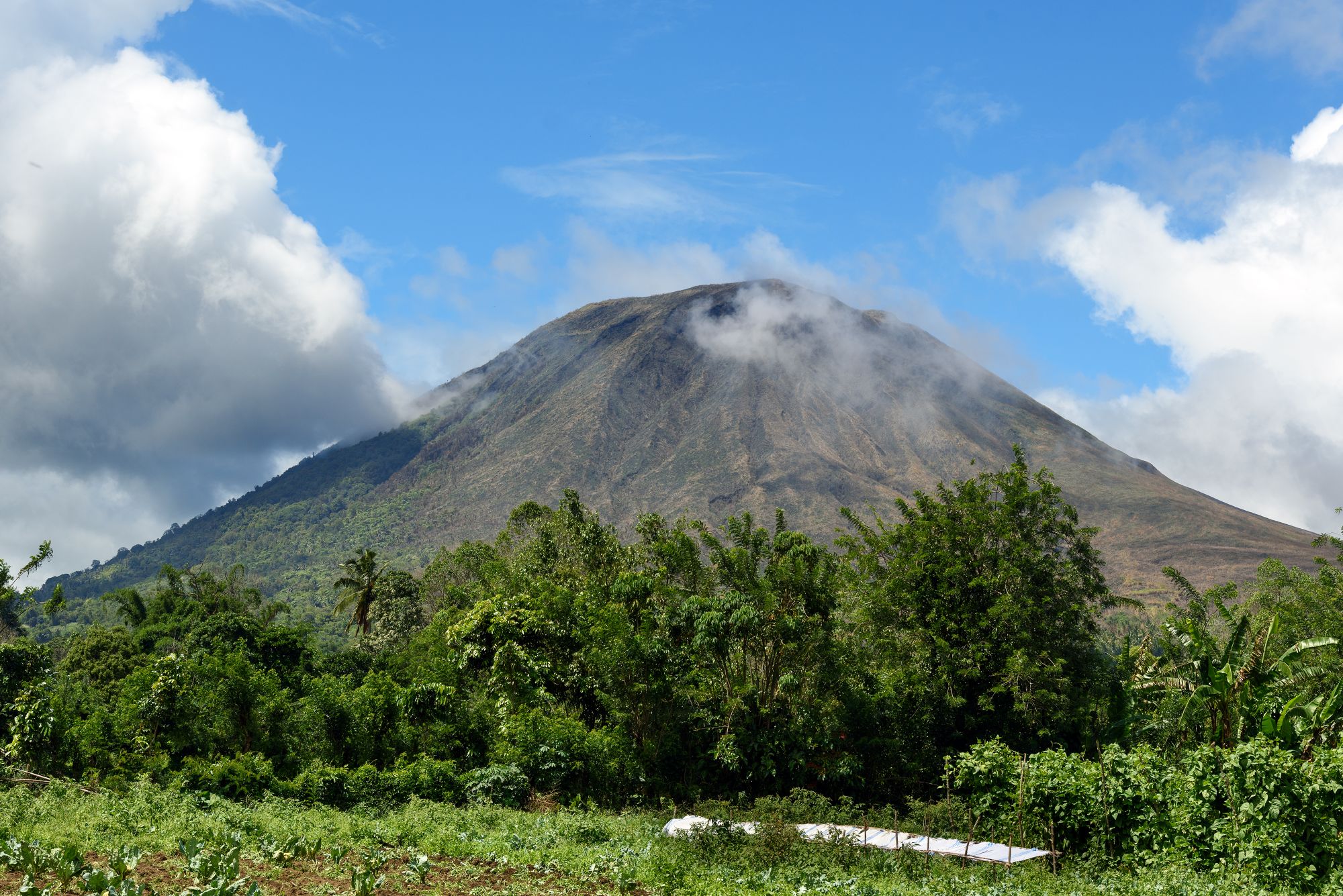 Au pays des Minahasa de Manado: Sulawesi Tomohon Mount Lokon