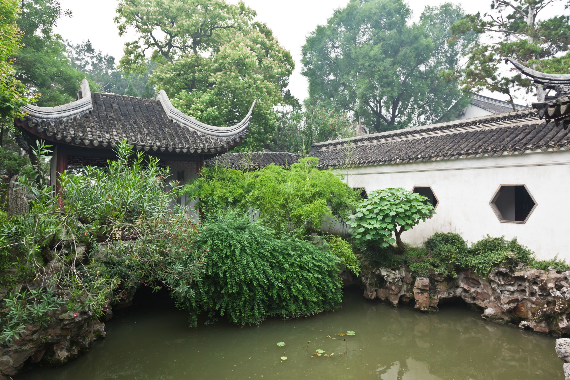 Charmantes cités-jardins et villes d'eau de Shanghai: Suzhou: Lions Garden