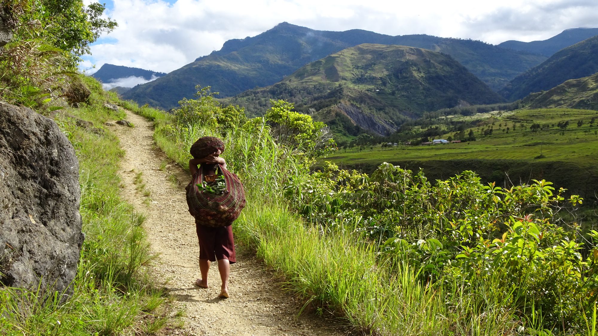 Papua - Reise in eine andere Zeit ab Jayapura: Papua | Baliem Valley | Dani woman on the way