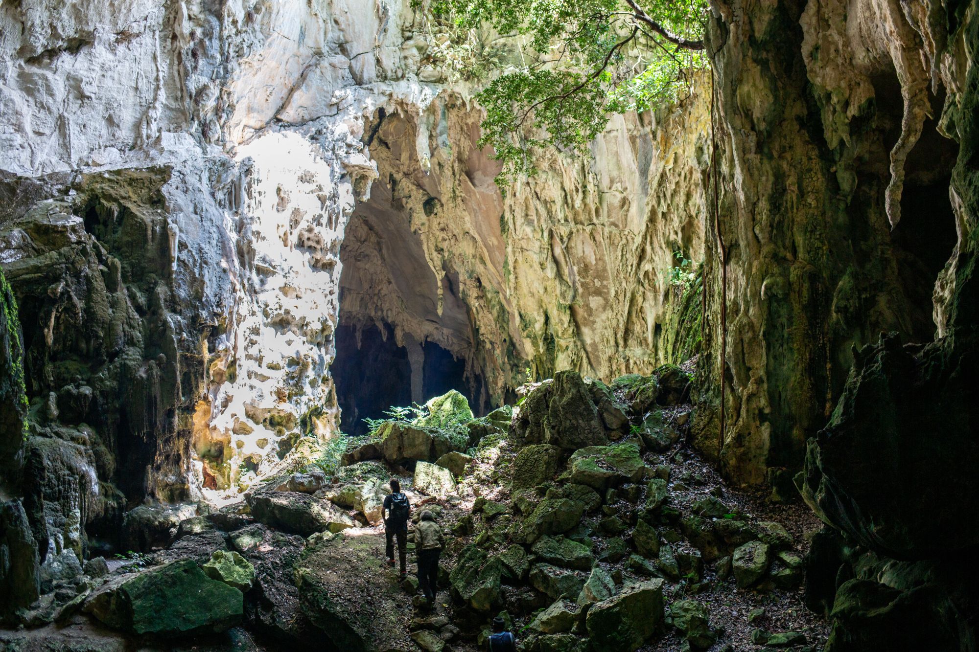 Papua - Reise in eine andere Zeit ab Jayapura: Papua | Baliem Valley | Kotilola Cave