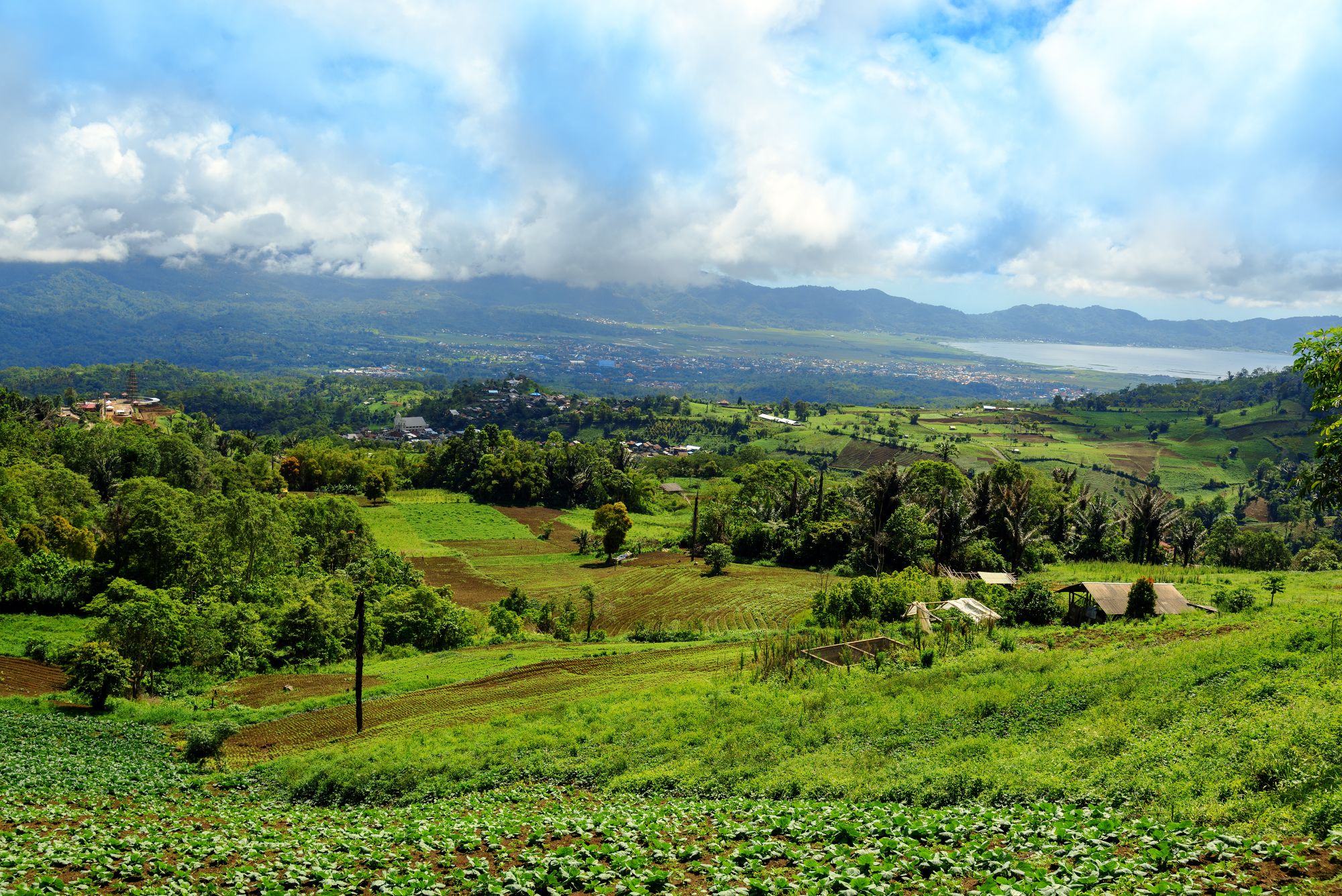 Au pays des Minahasa de Manado: Sulawesi Tomohon