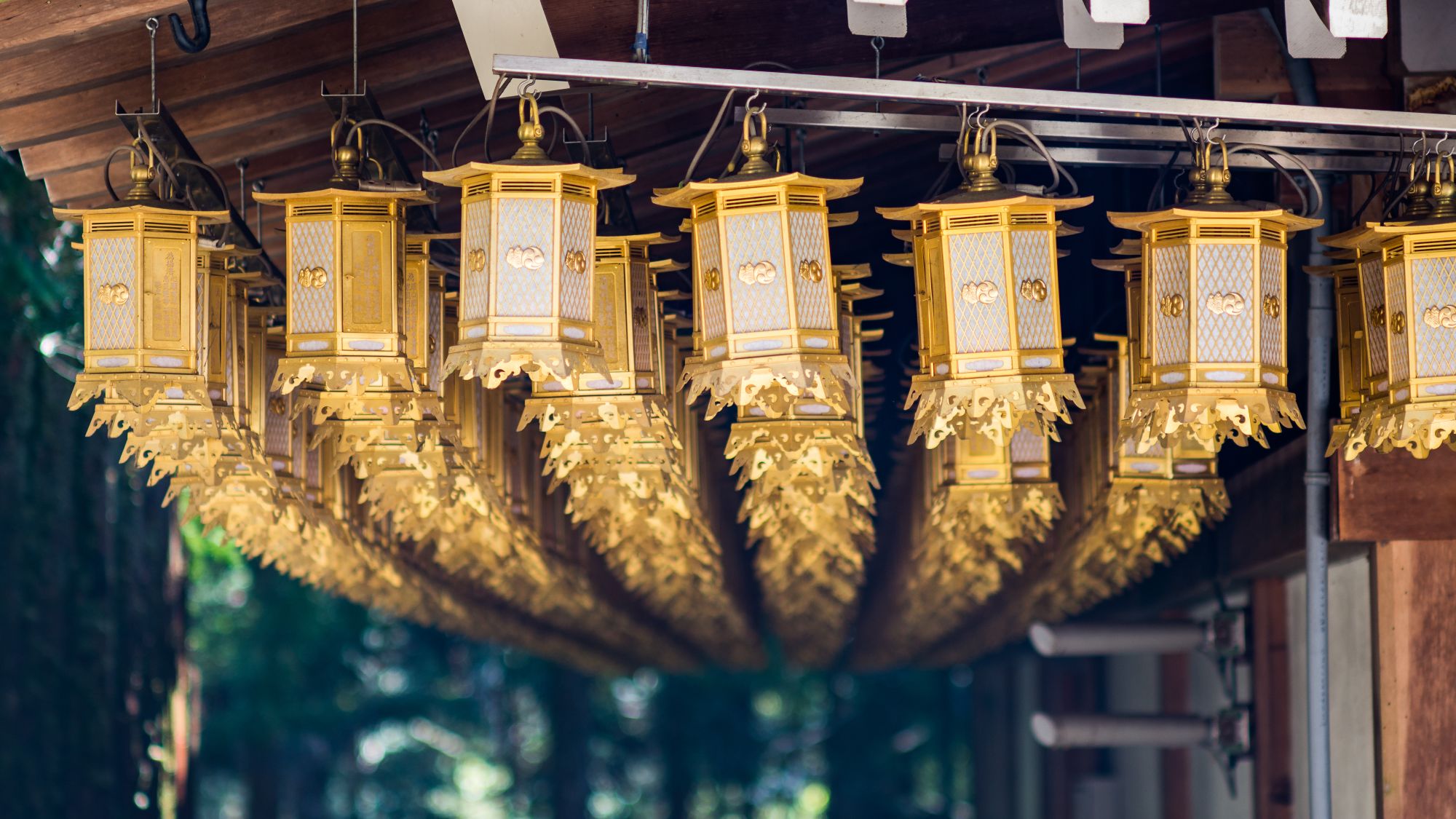 Weltkulturerbe Koyasan ab Kyoto: Rows of golden lanterns on Koya Mountain