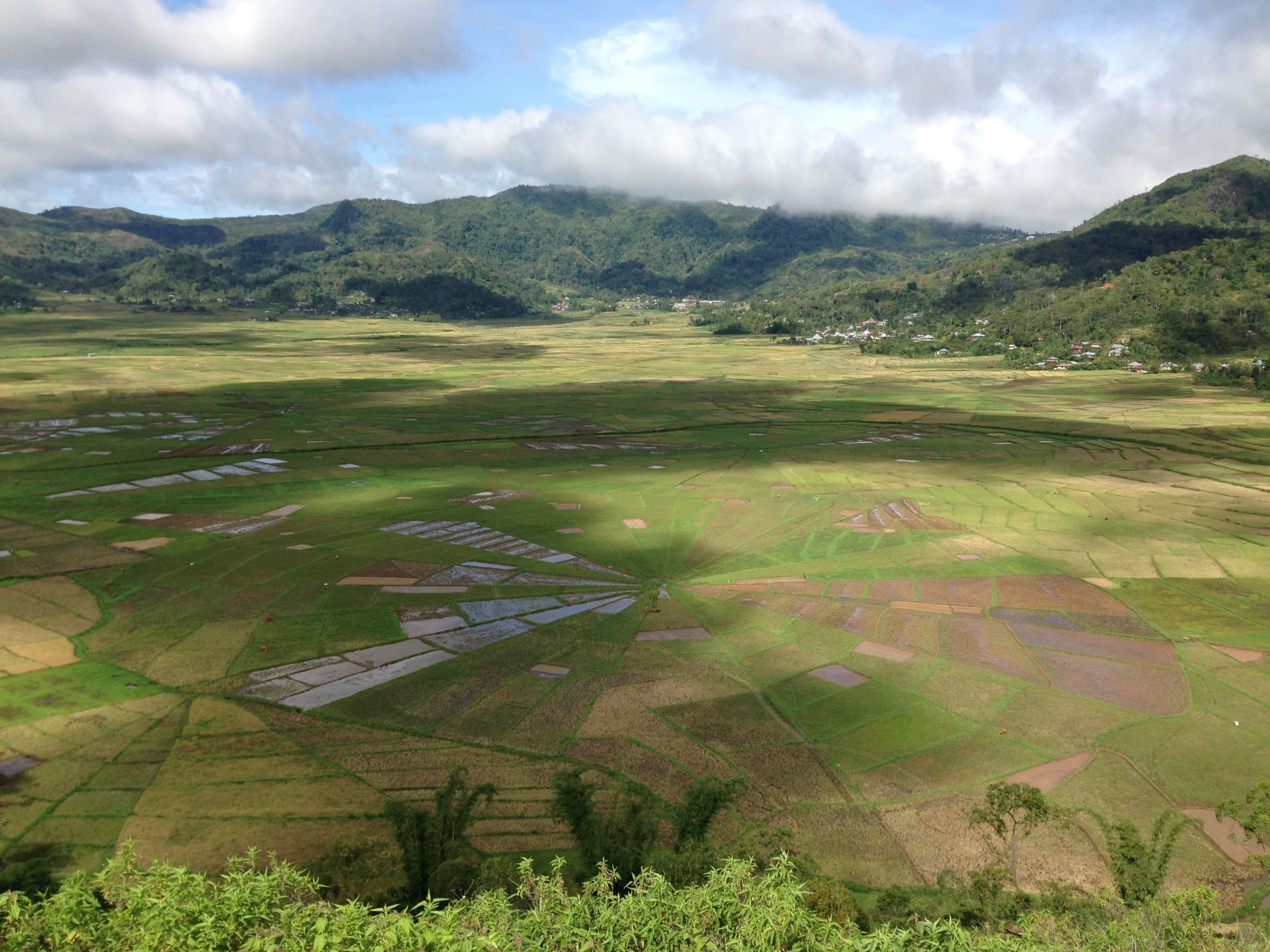 Flores - Traditionen, Riten und Vulkane ab Ende: Flores Spiderweb rice fields