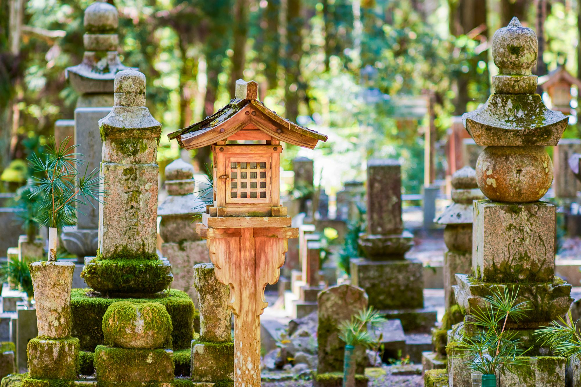 Weltkulturerbe Koyasan ab Kyoto: Monuments in Okunoin cemetery in Koyasan