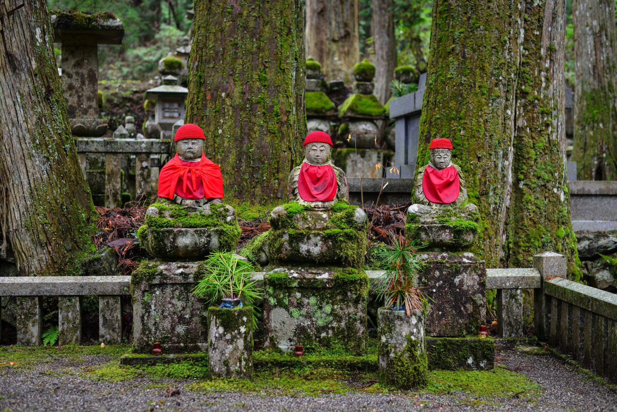 Weltkulturerbe Koyasan ab Kyoto: Buddha statues at ancient cemetery on Sacred Mount Koya