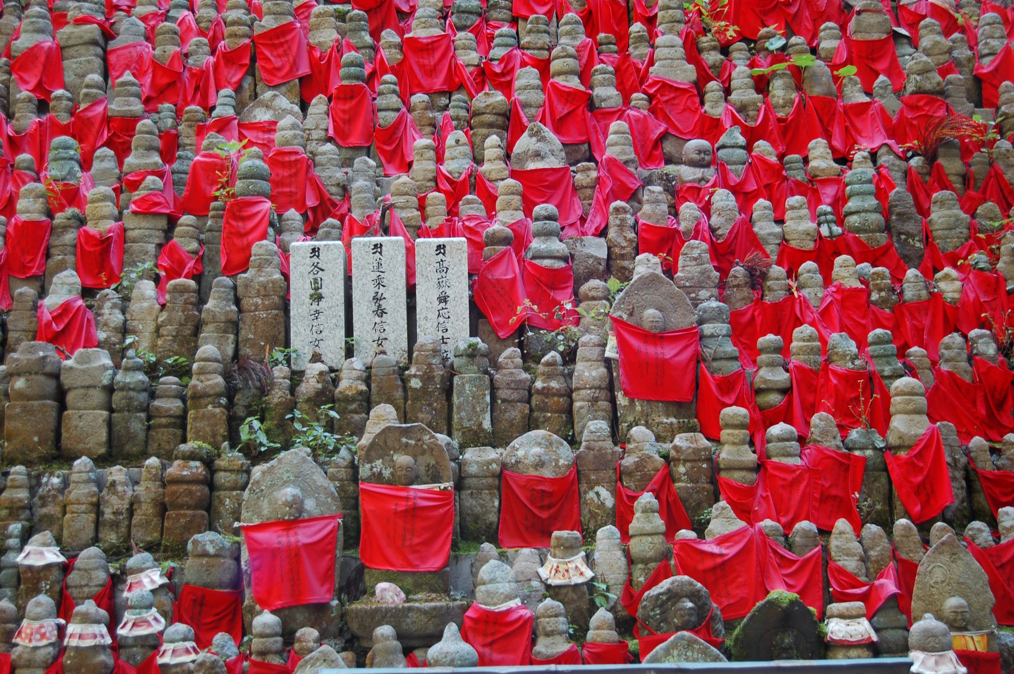 Weltkulturerbe Koyasan ab Kyoto: Hundreds of buddha statues in Okunoin Cemetery, Koyasan