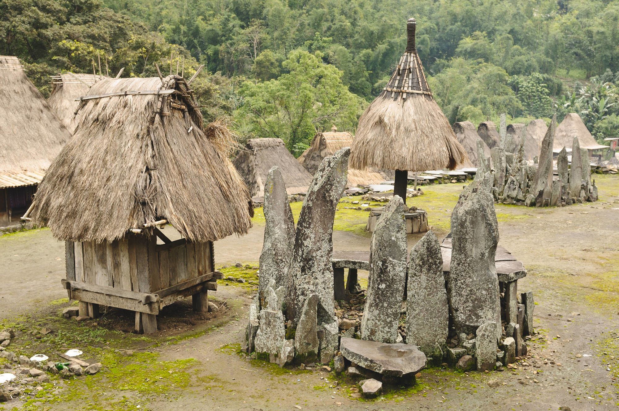 Flores - Traditionen, Riten und Vulkane ab Ende: Flores Bajawa Bena village
