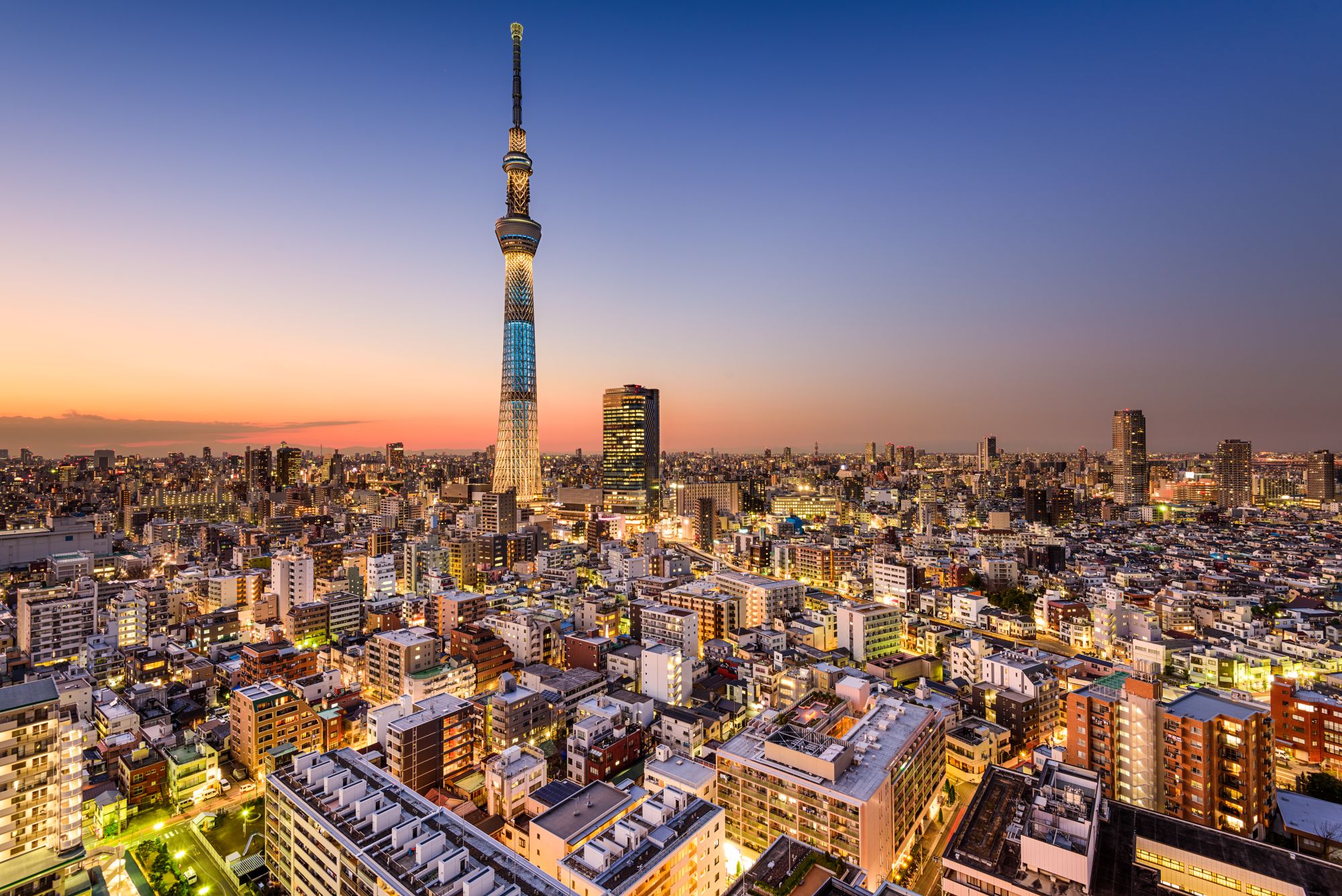 Kontrastreiches Japan ab Tokio: Tokyo cityscape with the Skytree