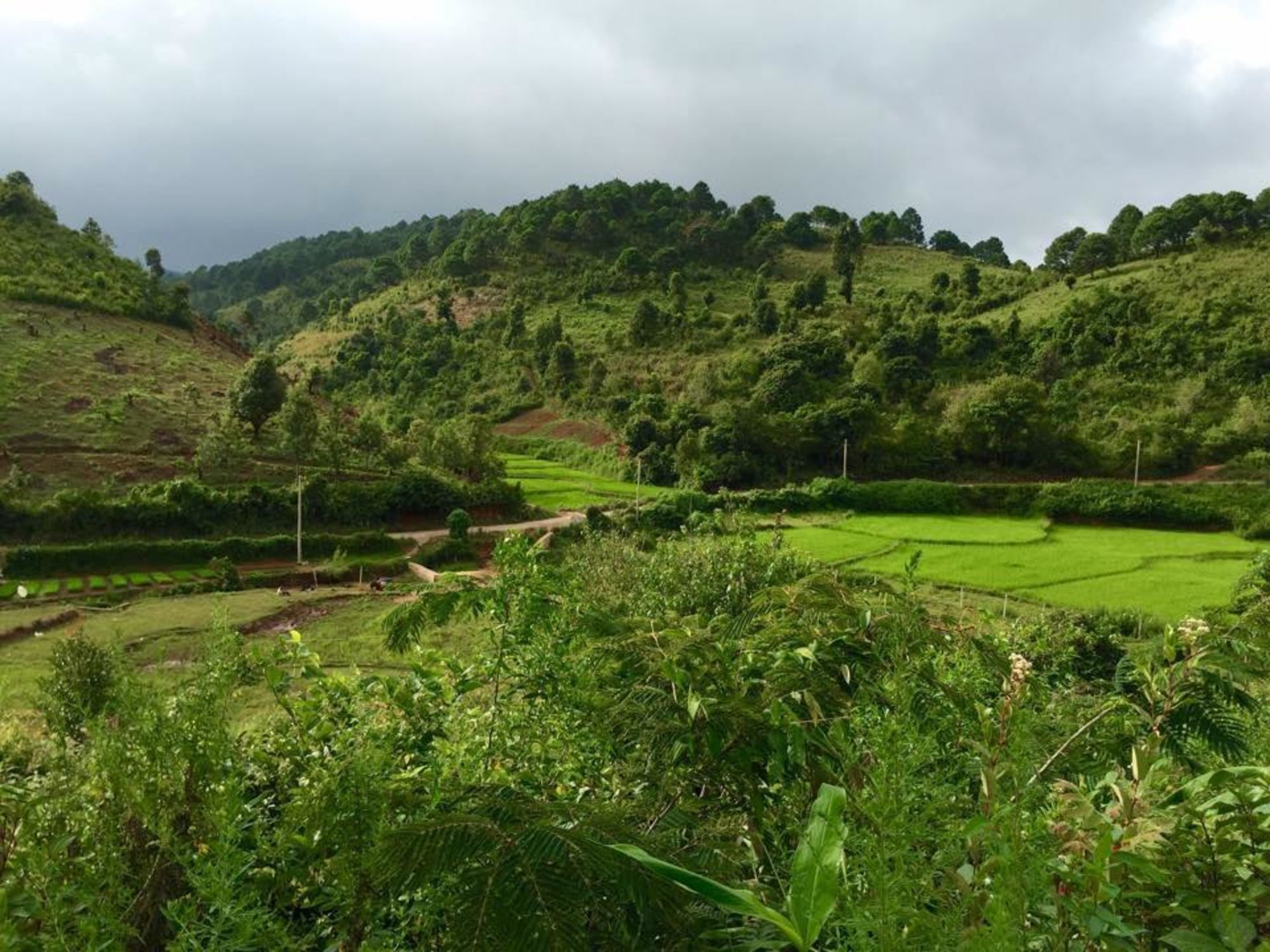 Randonnées dans le pittoresque Etat Shan (4 jours) de Lac Inle: Community Trail