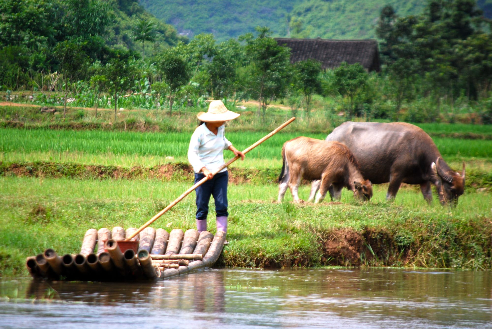 Chine impériale avec croisière sur le Yangtsé de Pékin: Yangshuo Yulong Fluss