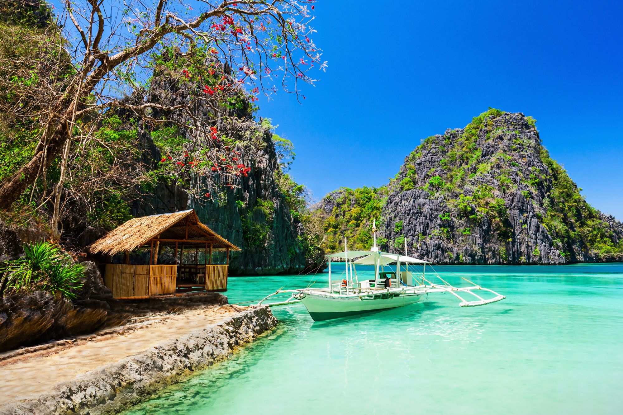 Traumhaftes Palawan: Palawan Filipino boat in the sea