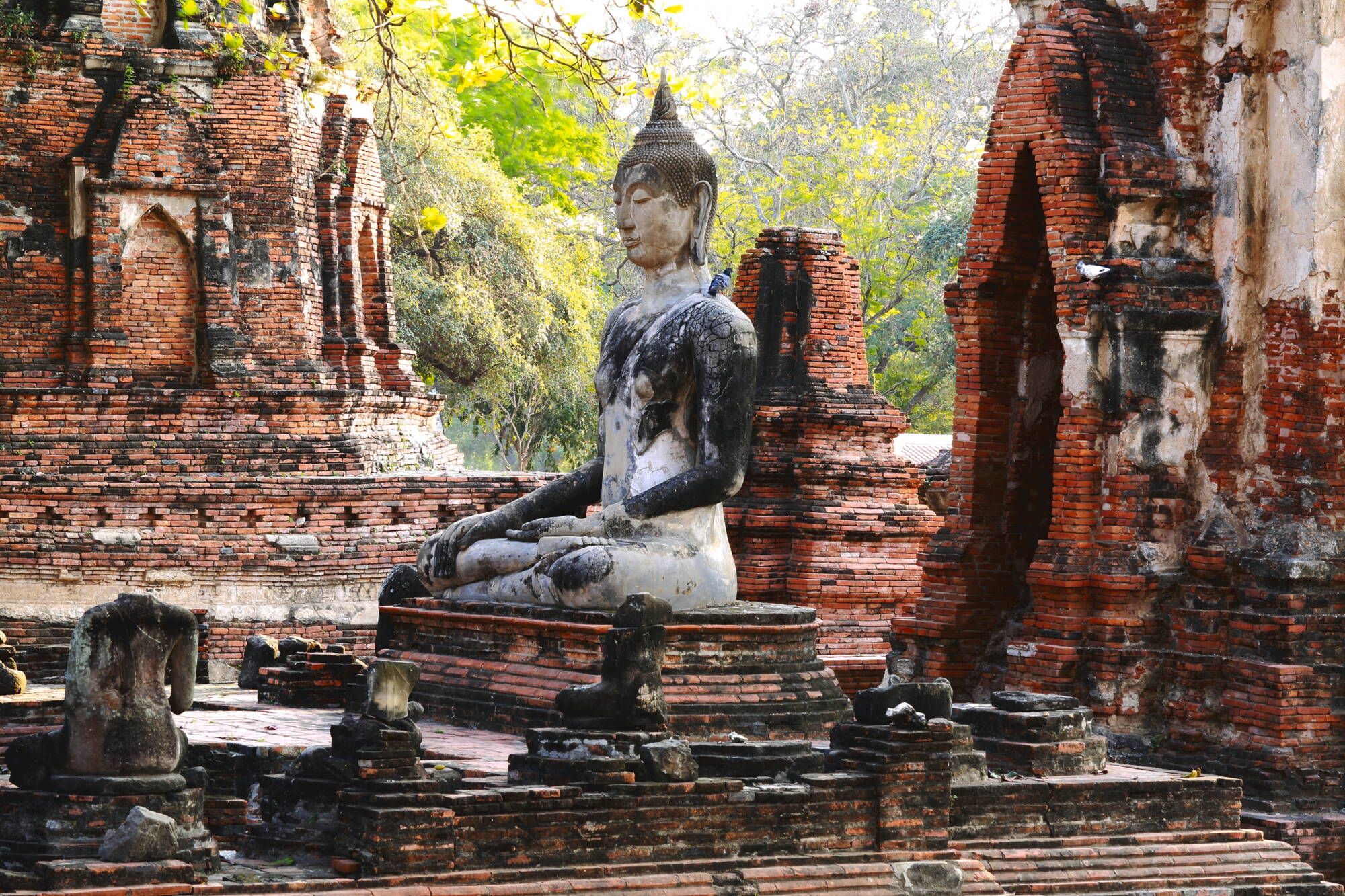 Le Siam royal de Bangkok: Ayutthaya buddha statue at Mahathat temple