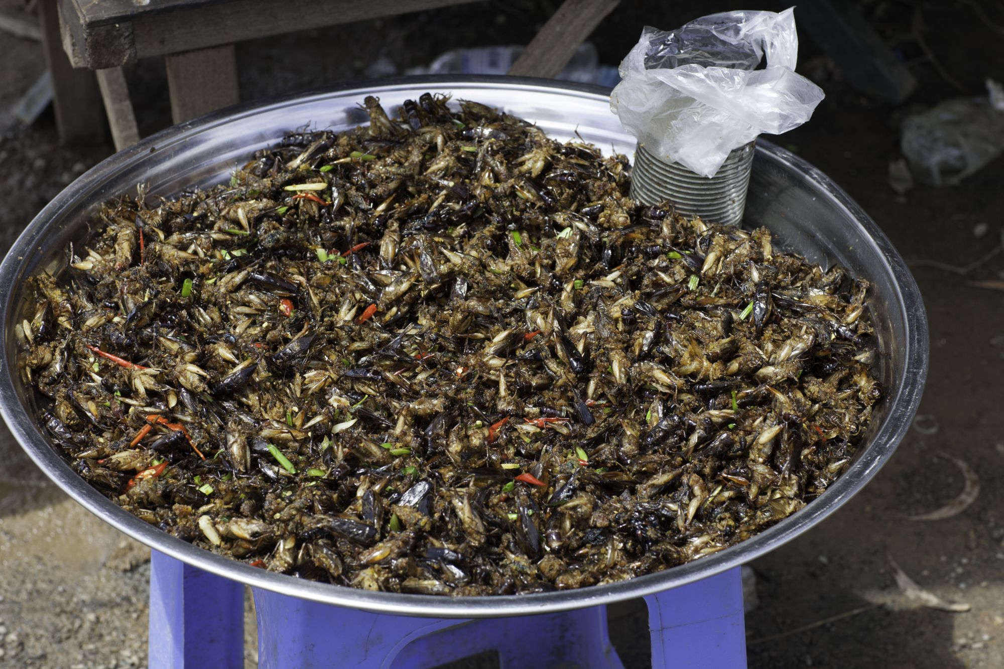 Une fascination sans frontières à Phu Quoc de Siem Reap: Skun - fried grasshoppers