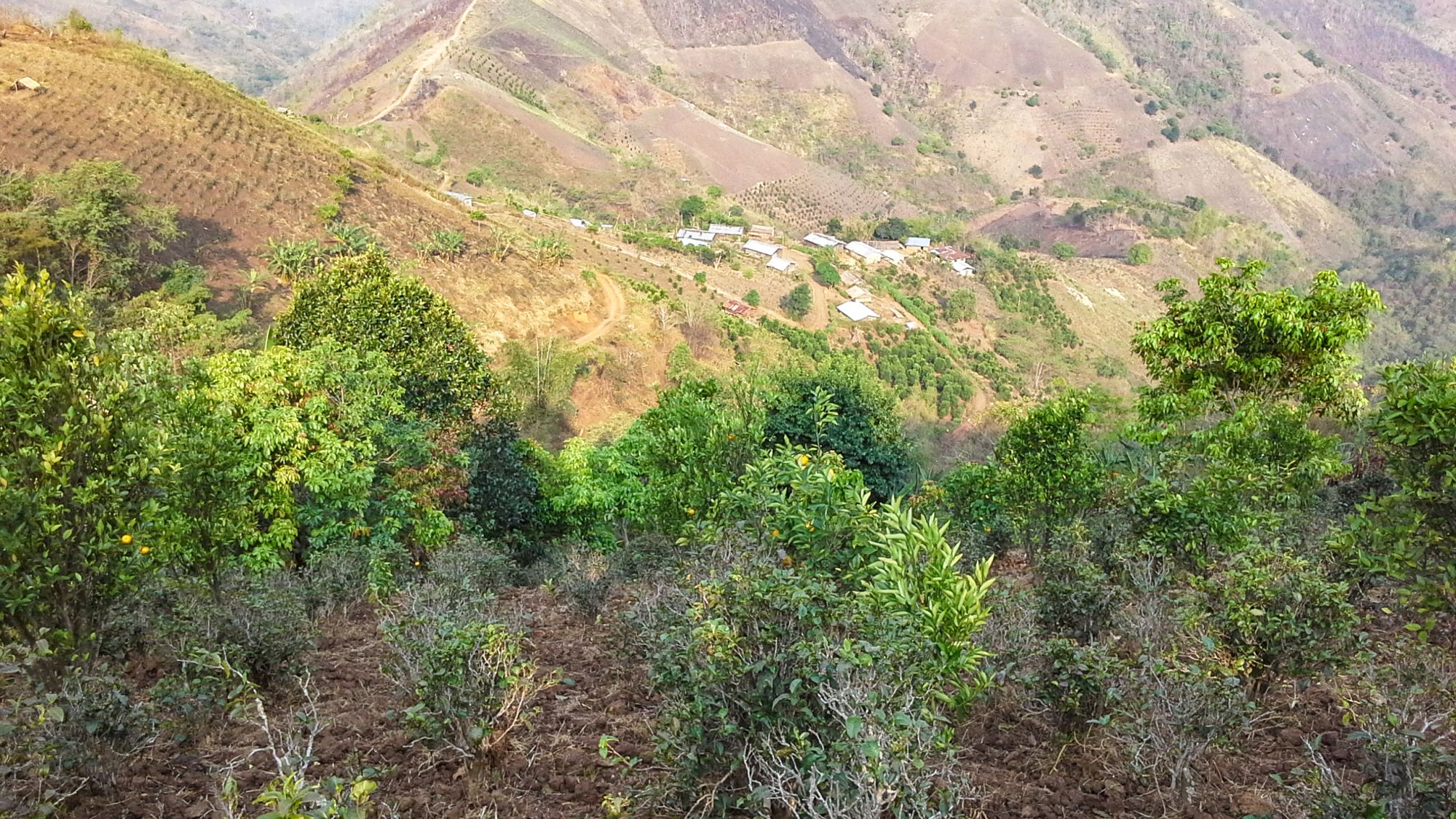 Randonnées dans le pittoresque Etat Shan (4 jours) de Lac Inle: Community Trail