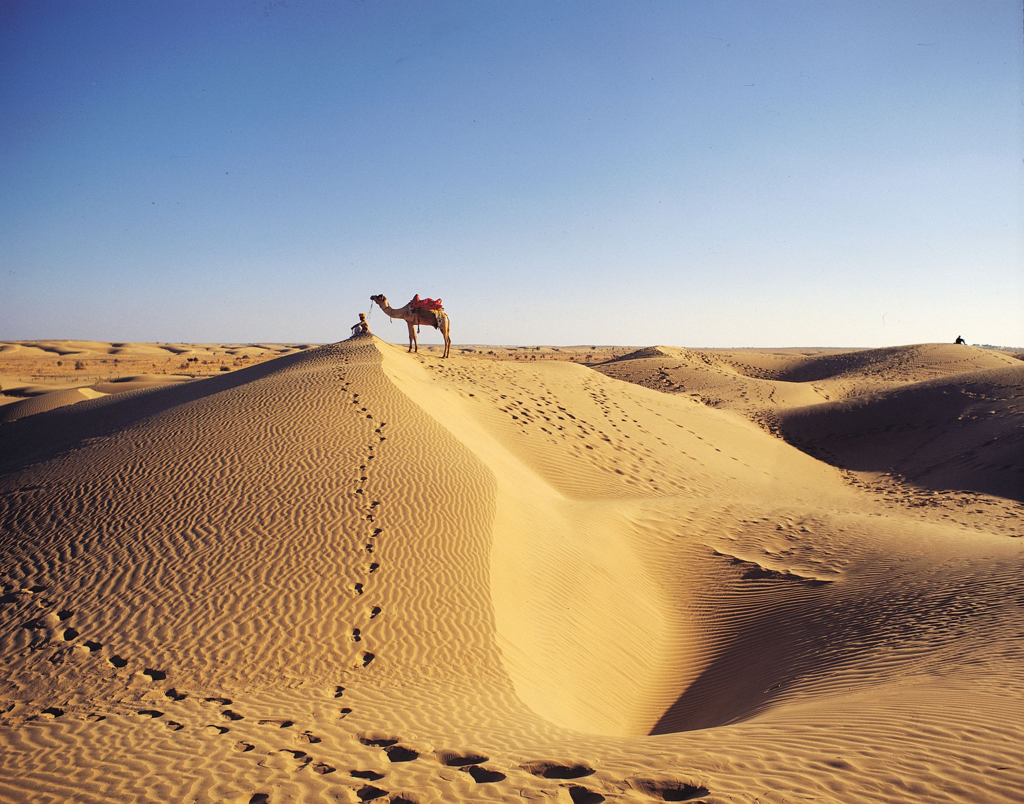 Palastromantik und Wüstenzauber ab Jodhpur: Thar Desert