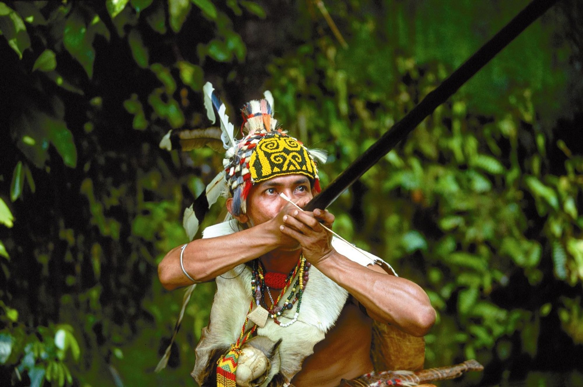 Höhepunkte Borneos mit Option "Brunei" ab Kuching: Sabah Headhunter