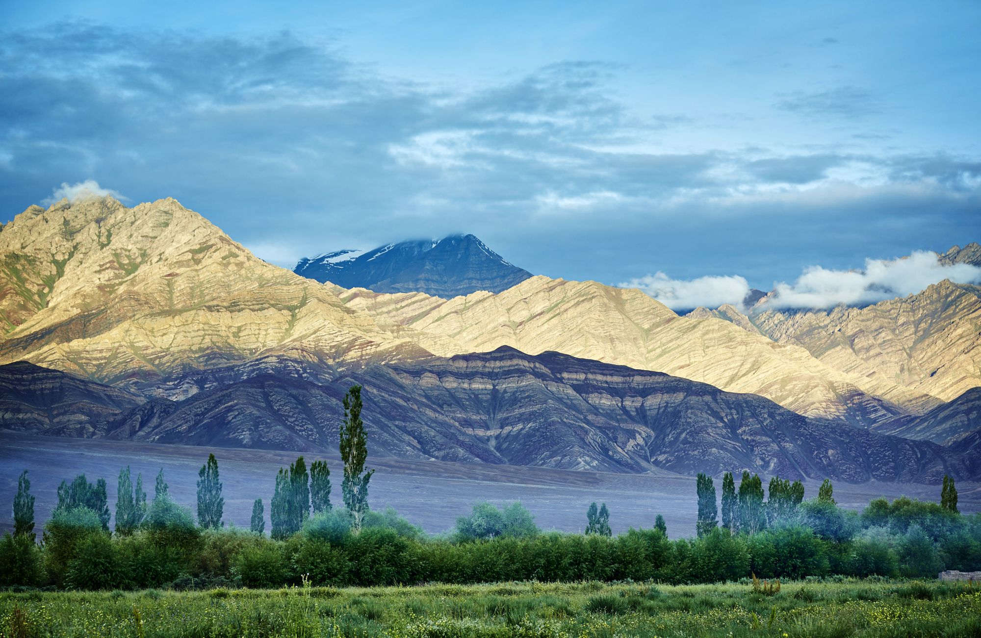 Le Ladakh luxueux de Leh: village-walk