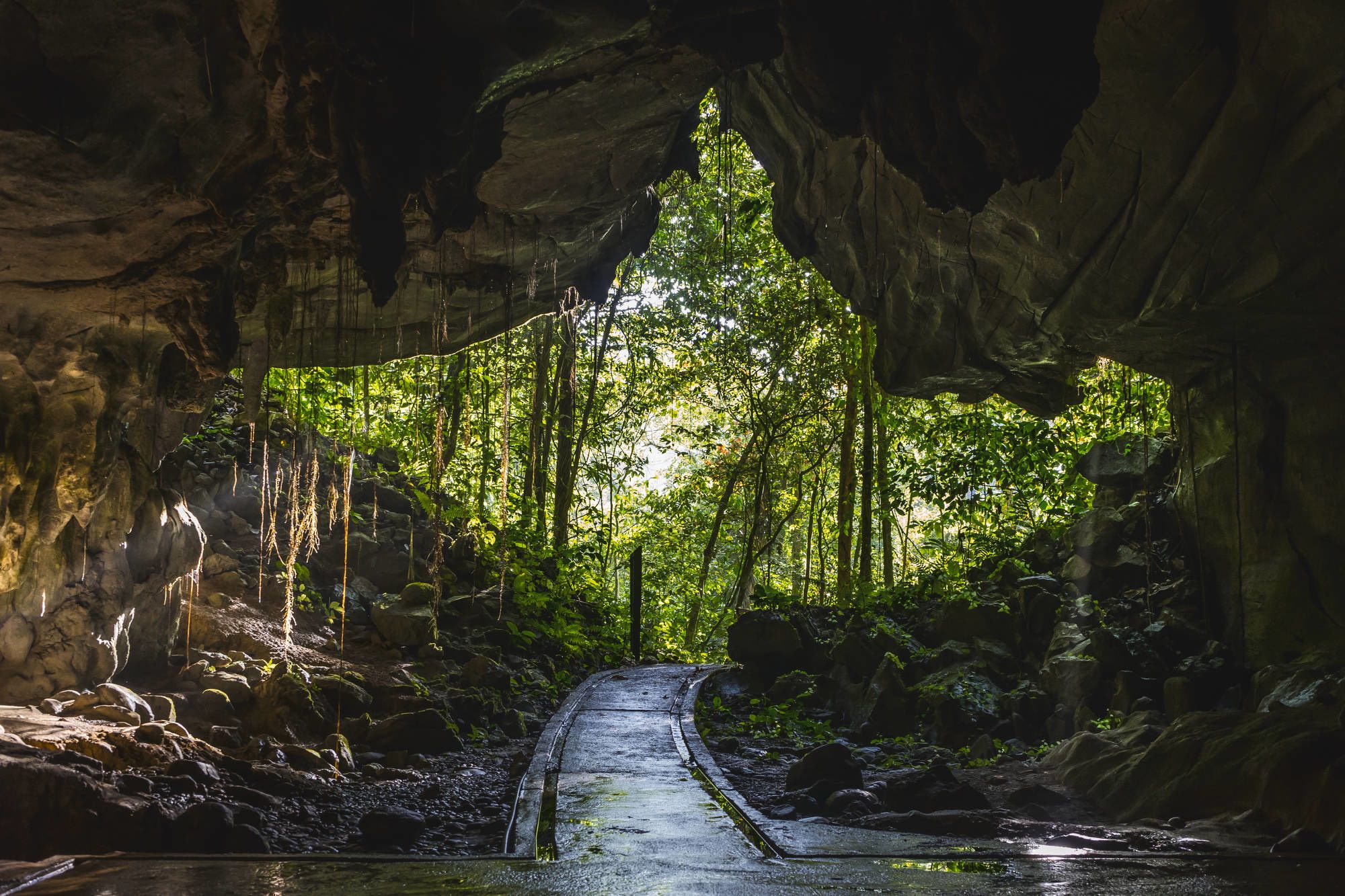 Höhepunkte Borneos mit Option "Brunei" ab Kuching: Mulu Cave