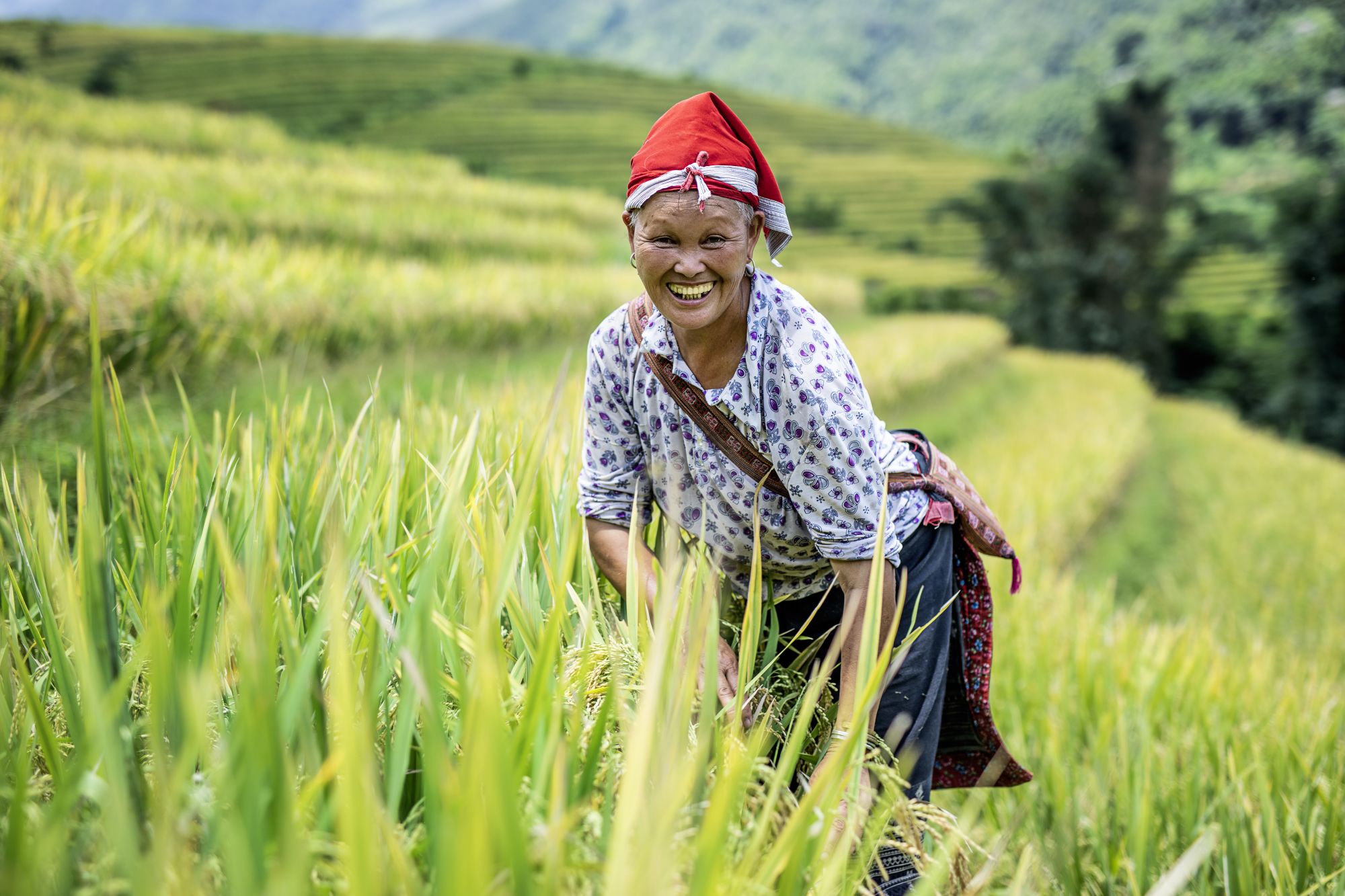 Durchs Reich der Bergvölker ab Hanoi: Topas Ecolodge Excursions