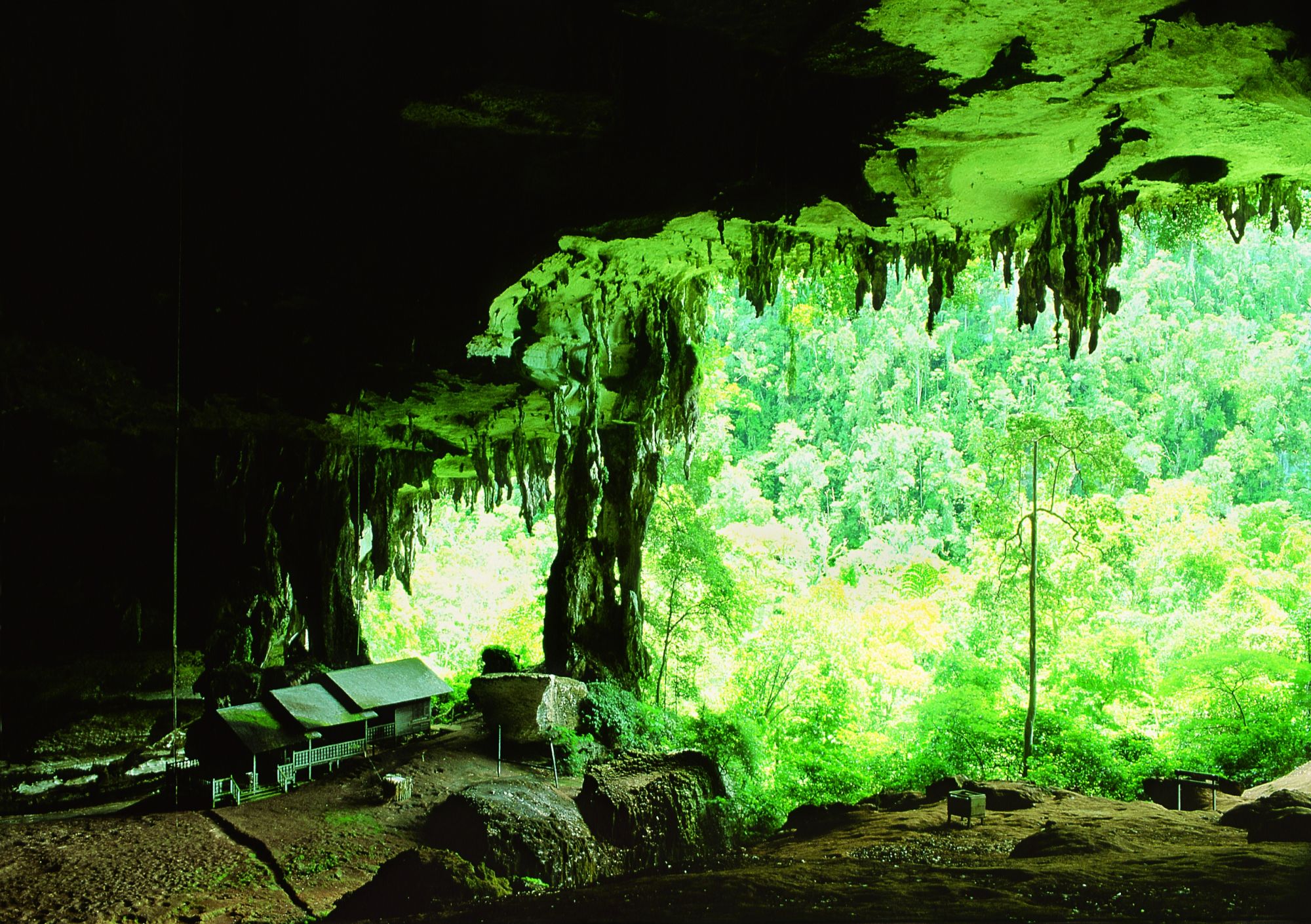 Höhepunkte Borneos mit Option "Brunei" ab Kuching: Mulu Caves