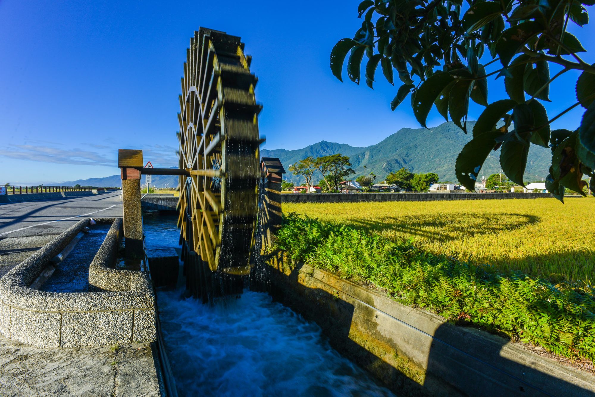 Les hauts lieux de Taïwan de Taipei: Morning ride along Brown Avenue at Taitung
