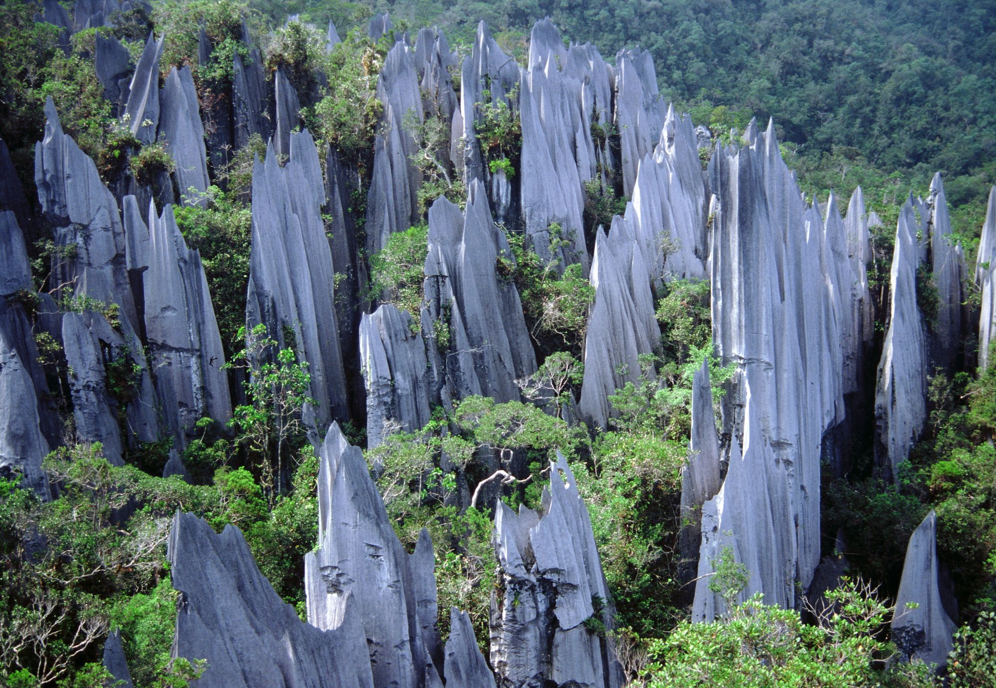 Höhepunkte Borneos mit Option "Brunei" ab Kuching: Mulu: Stone Formations