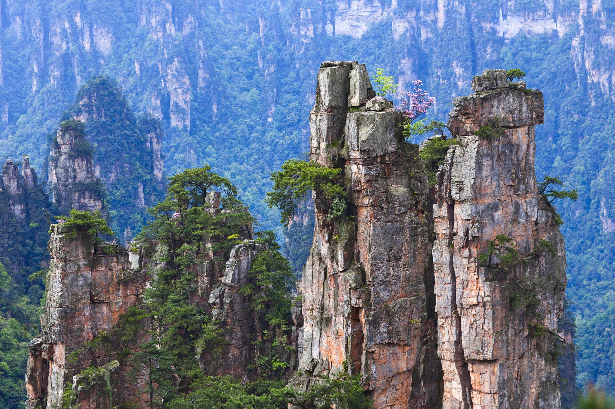 Märchenhaftes Südchina ab Shanghai: Zhangjiajie National Forest Park