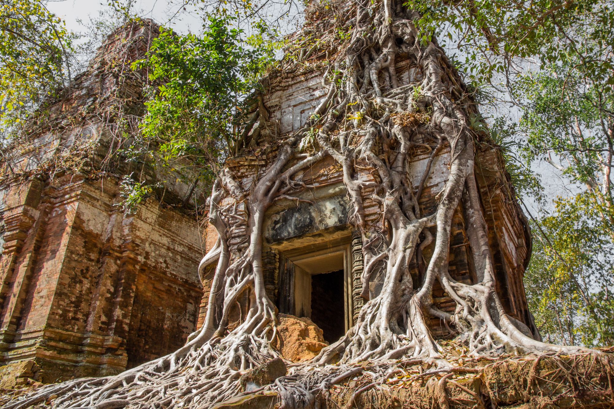 Traversée du sud du Laos à Angkor de Pakse: Koh Ker: The ruins of the old temples