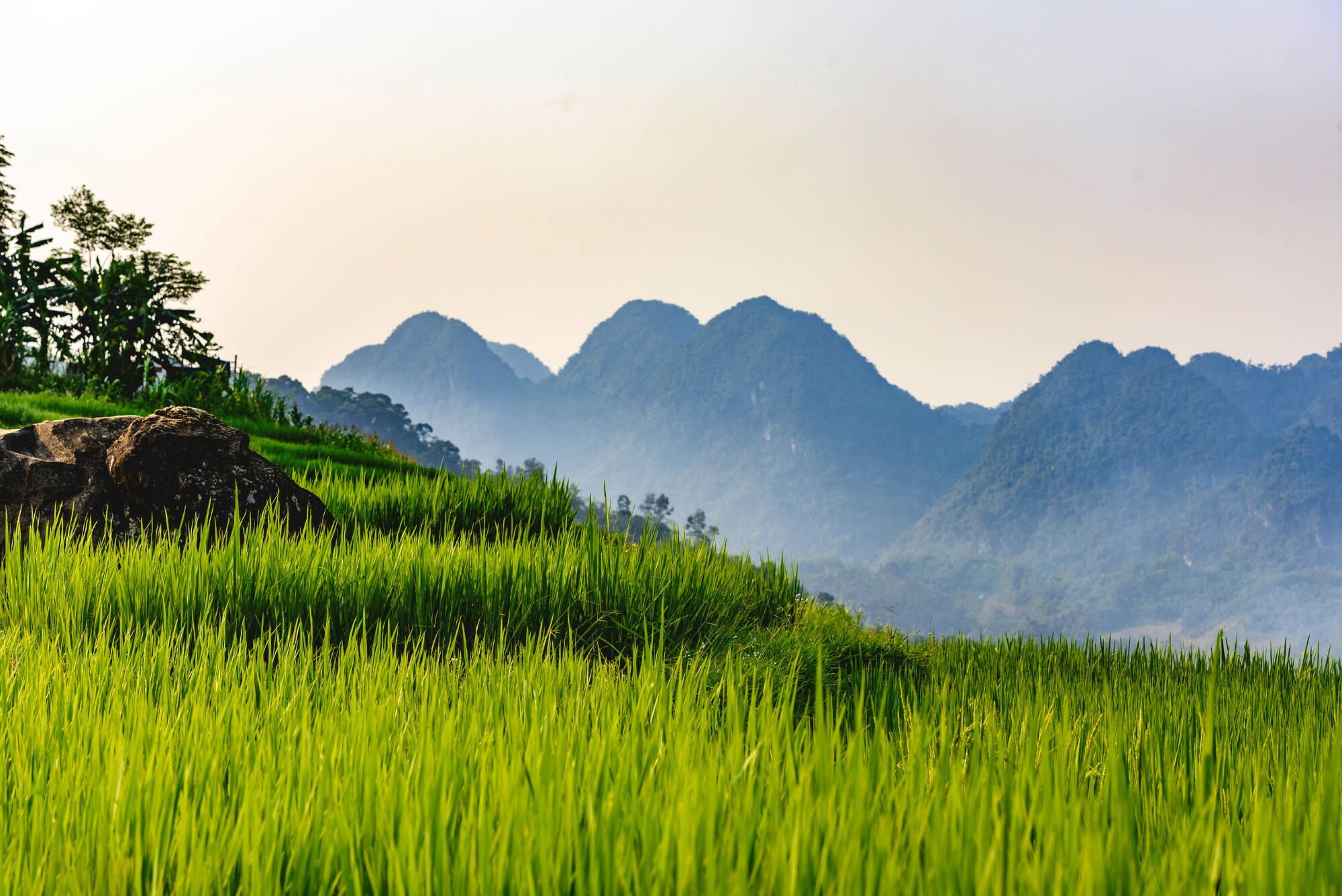 Impressionen Nordvietnams ab Hanoi: Pu Luong Nature Reserve