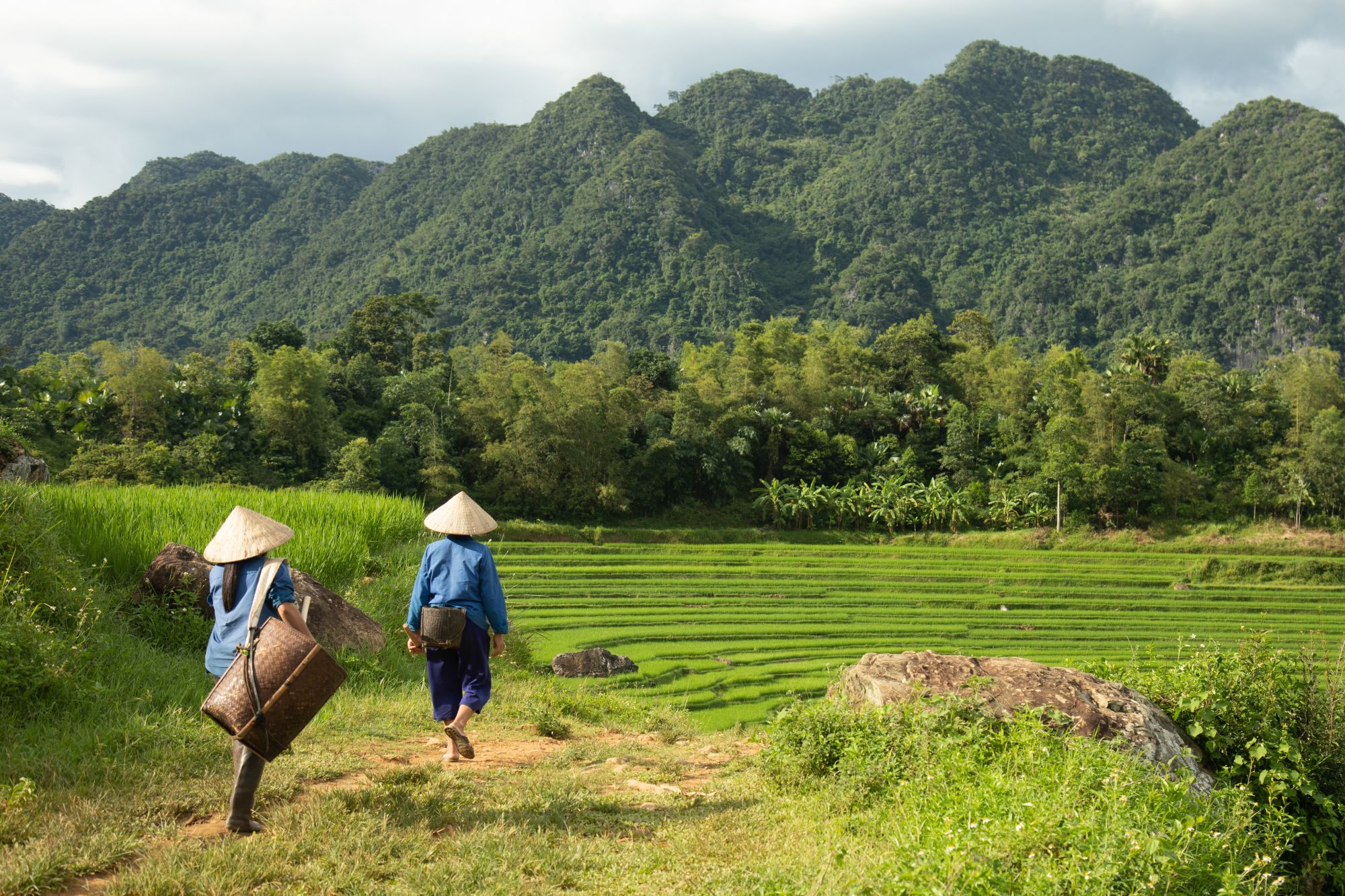 Impressionen Nordvietnams ab Hanoi: Two women going to the paddy fields in the Pu Luong