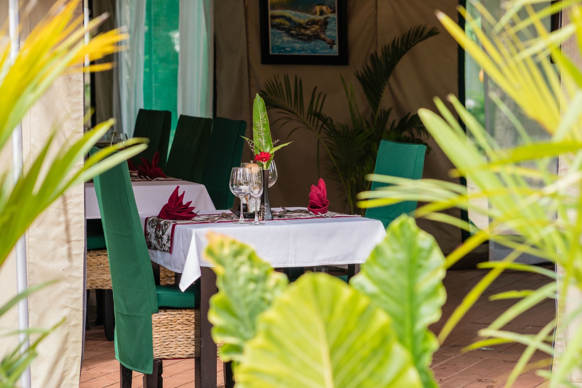 Canvas & Orchids Retreat Package de Phnom Penh: Canvas & Orchids Retreat