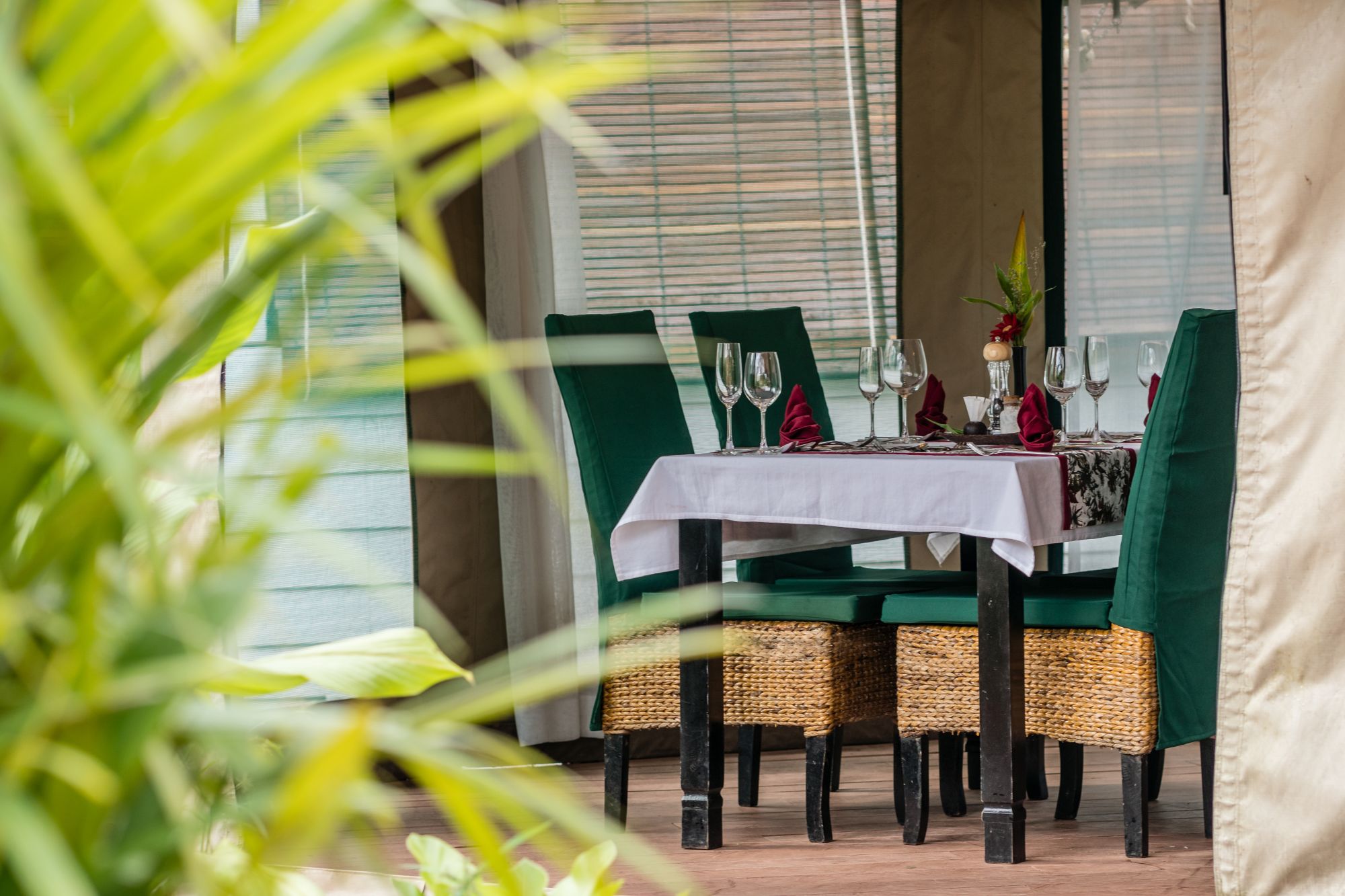 Canvas & Orchids Retreat Package de Phnom Penh: Canvas & Orchids Retreat