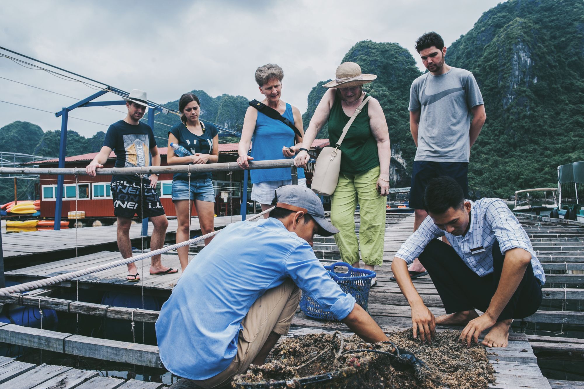 Halong Bucht Kreuzfahrten mit «Bhaya Classic» ab Hanoi: activities: Visiting Pearl Farm