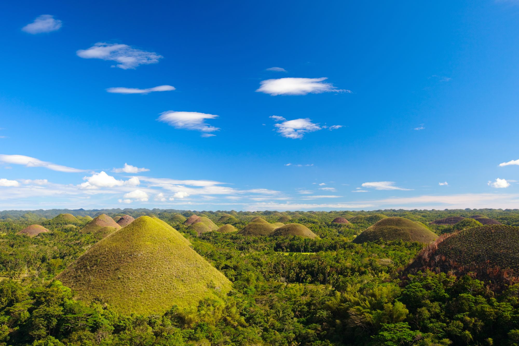 D’île en île individuellement aux Philippines de Manille: Bohol Chocolate Hills