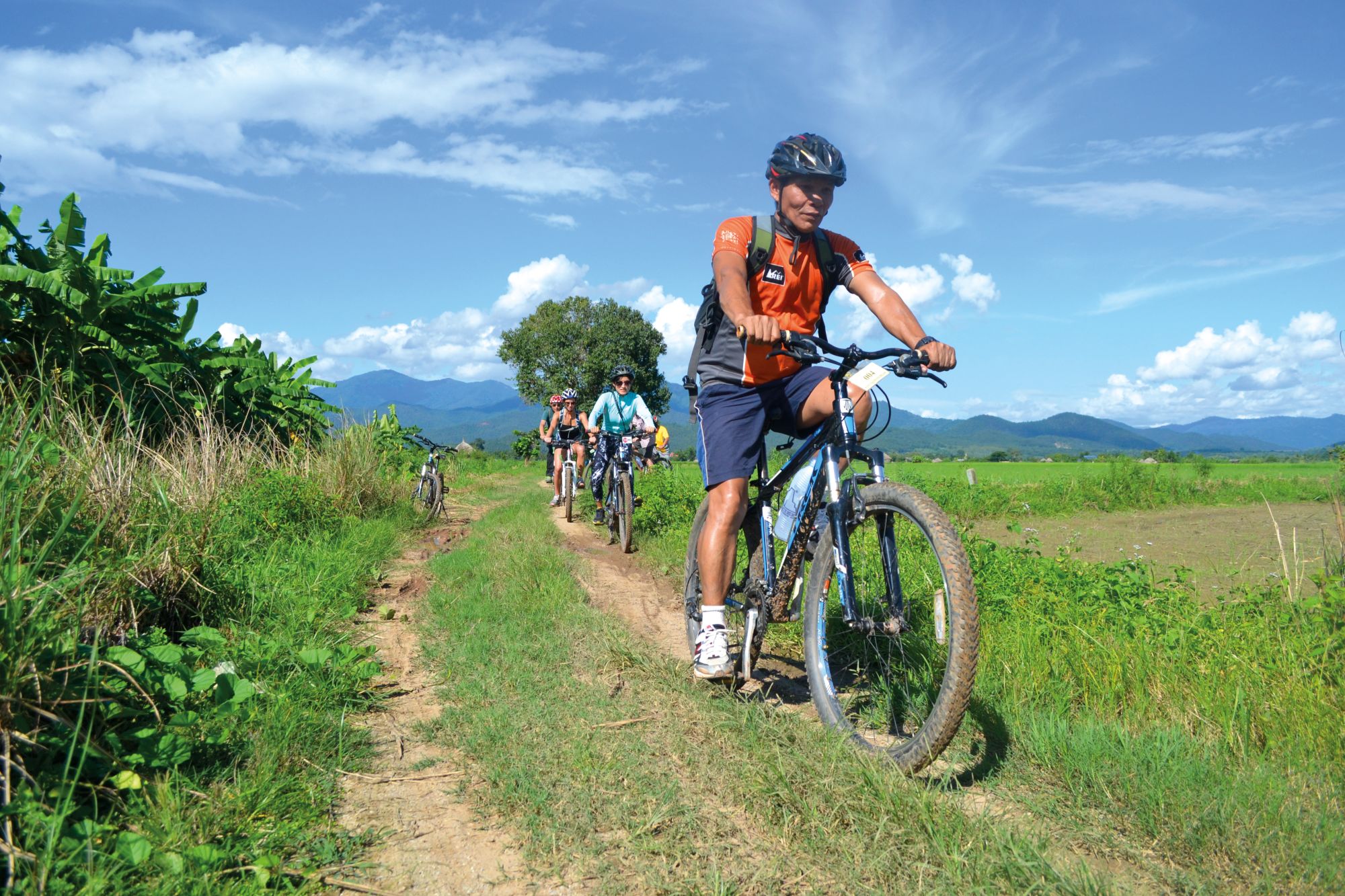 Le nord de la Thaïlande en action: nature & éléphants de Chiang Mai: Northern Thailand: Biking