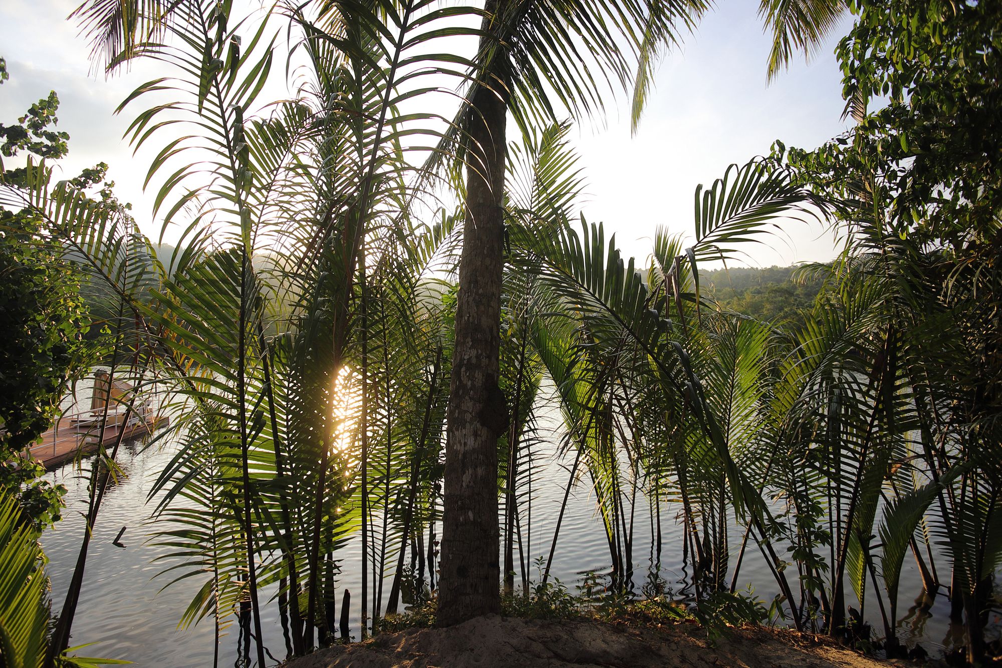 Canvas & Orchids Retreat Package de Phnom Penh: Canvas & Orchids Retreat