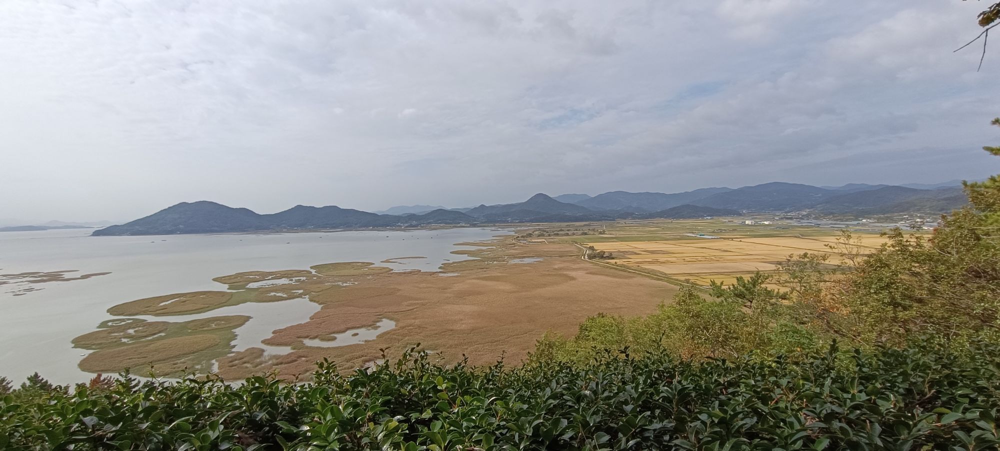 La Corée du Sud diversifiée de Séoul: View from mountain over Suncheon Wetland