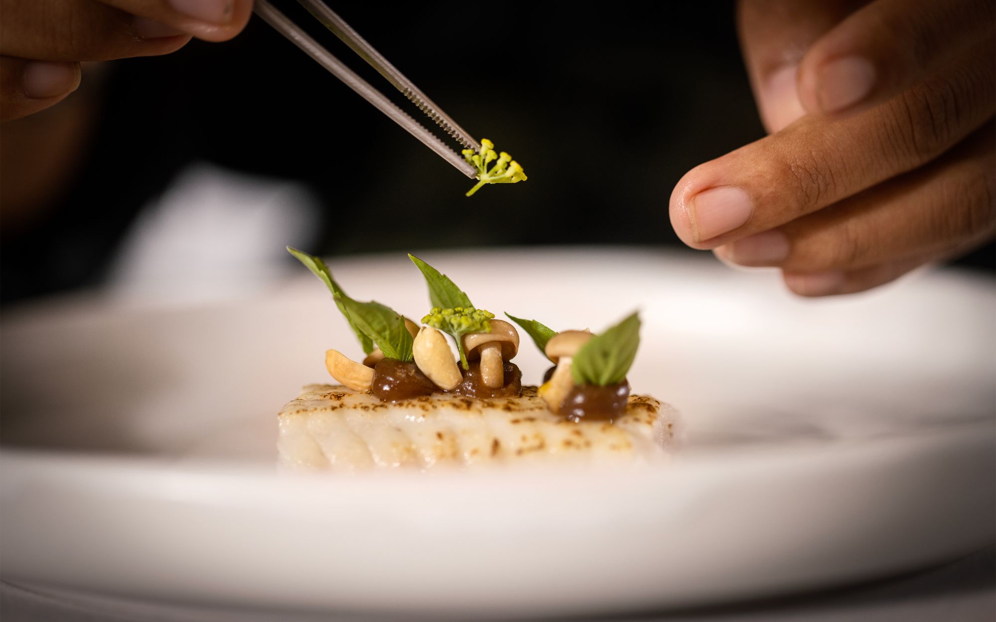 Farmhouse Resort & Spa - Smiling Gecko Sozialprojekt ab Phnom Penh: f&b: Chefs Table