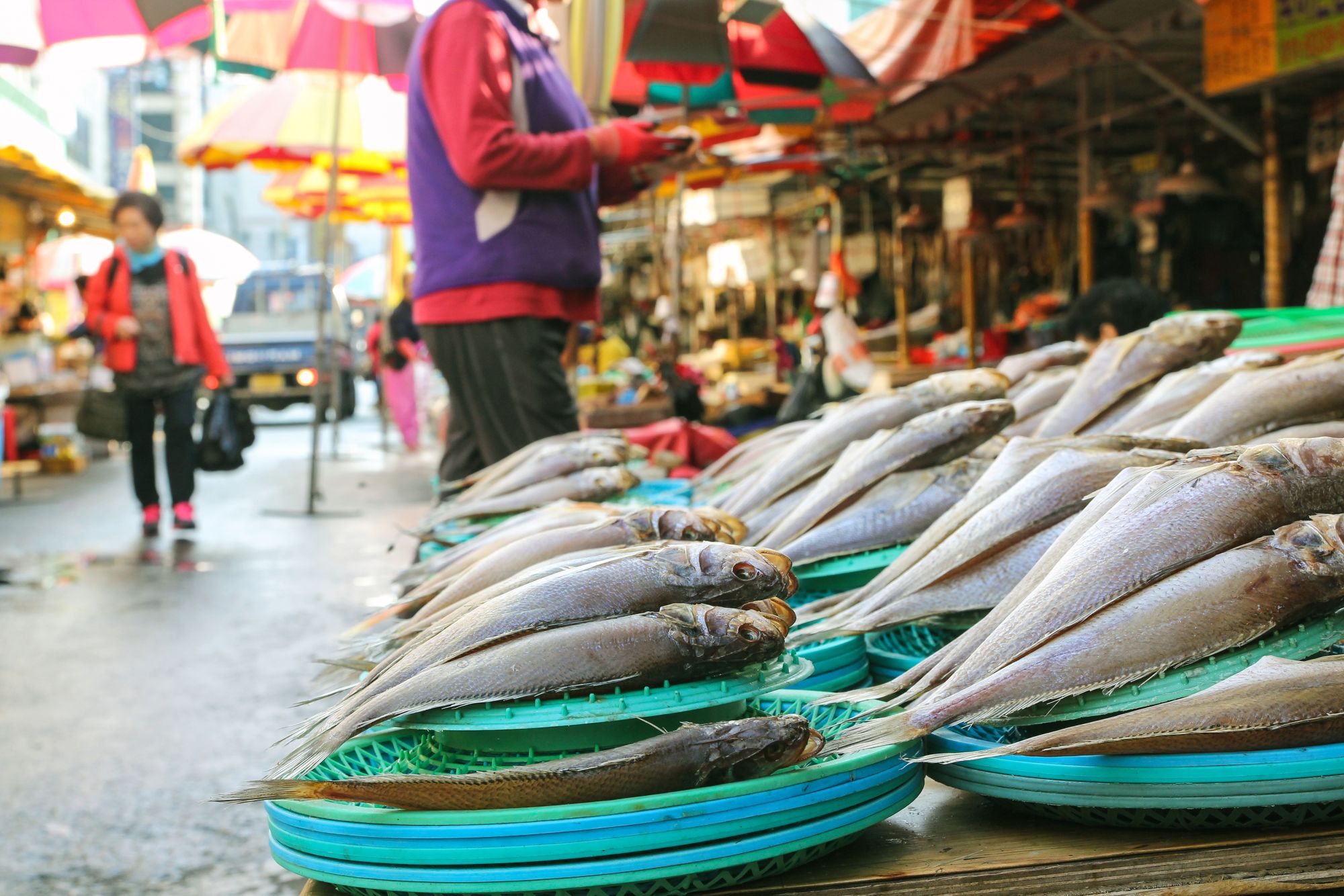 Gruppenreise «Höhepunkte Südkoreas und Japans» ab Seoul: Fresh fish at Jagalchi Fish market Busan