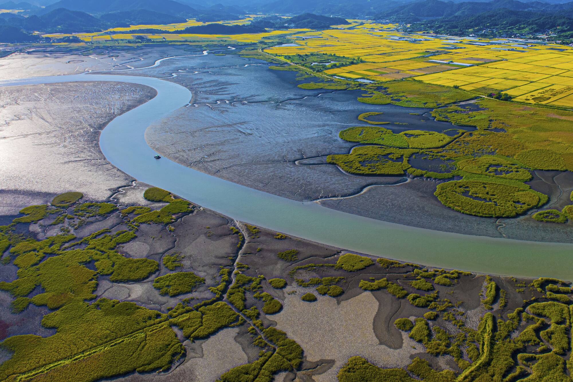 L’ouest inconnu de la Corée du Sud de Séoul: Aerial view of Suncheon Bay Wetland Reserve
