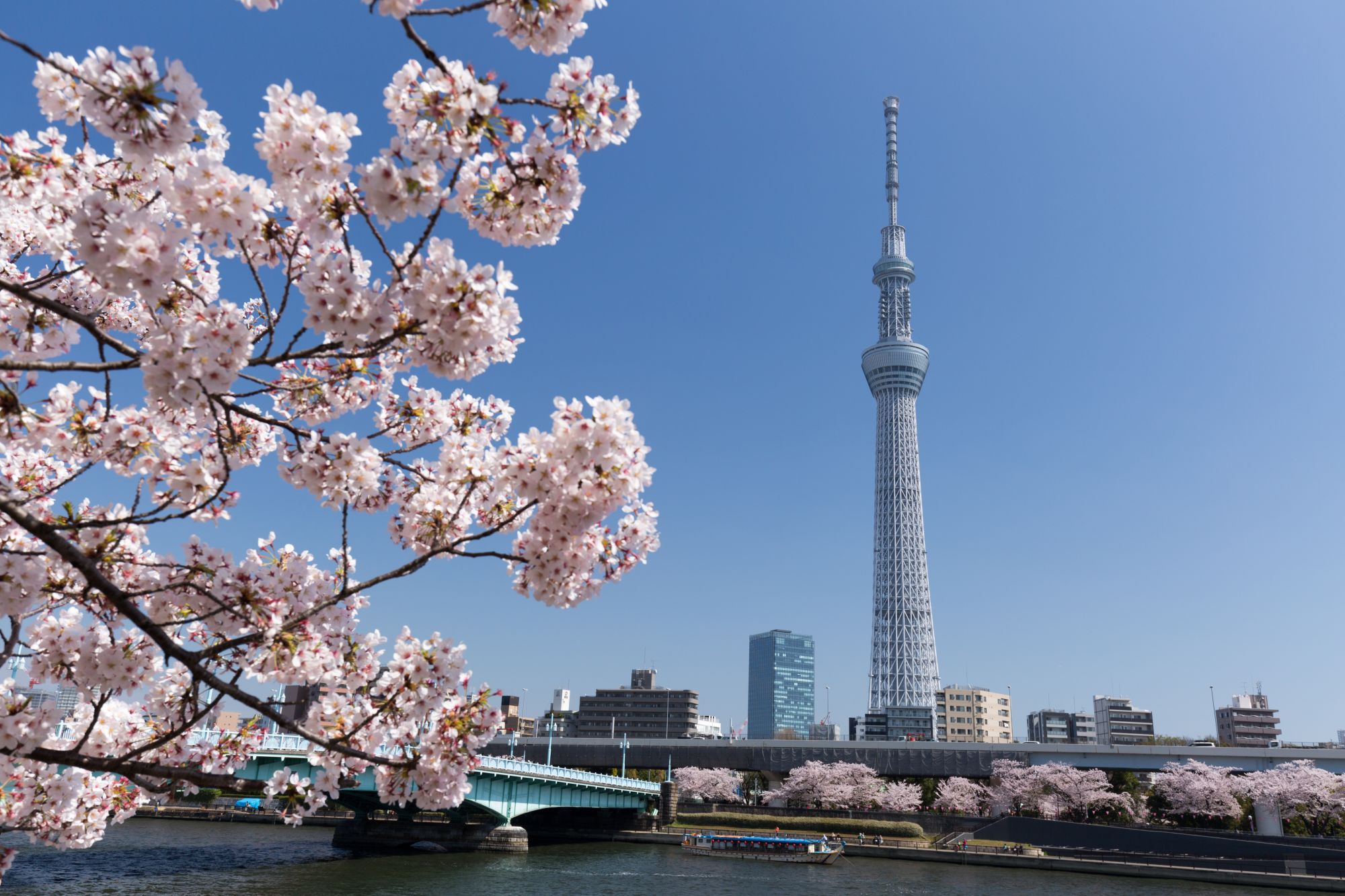 Gruppenreise «Höhepunkte Südkoreas und Japans» ab Seoul: Tokyo Sumida River