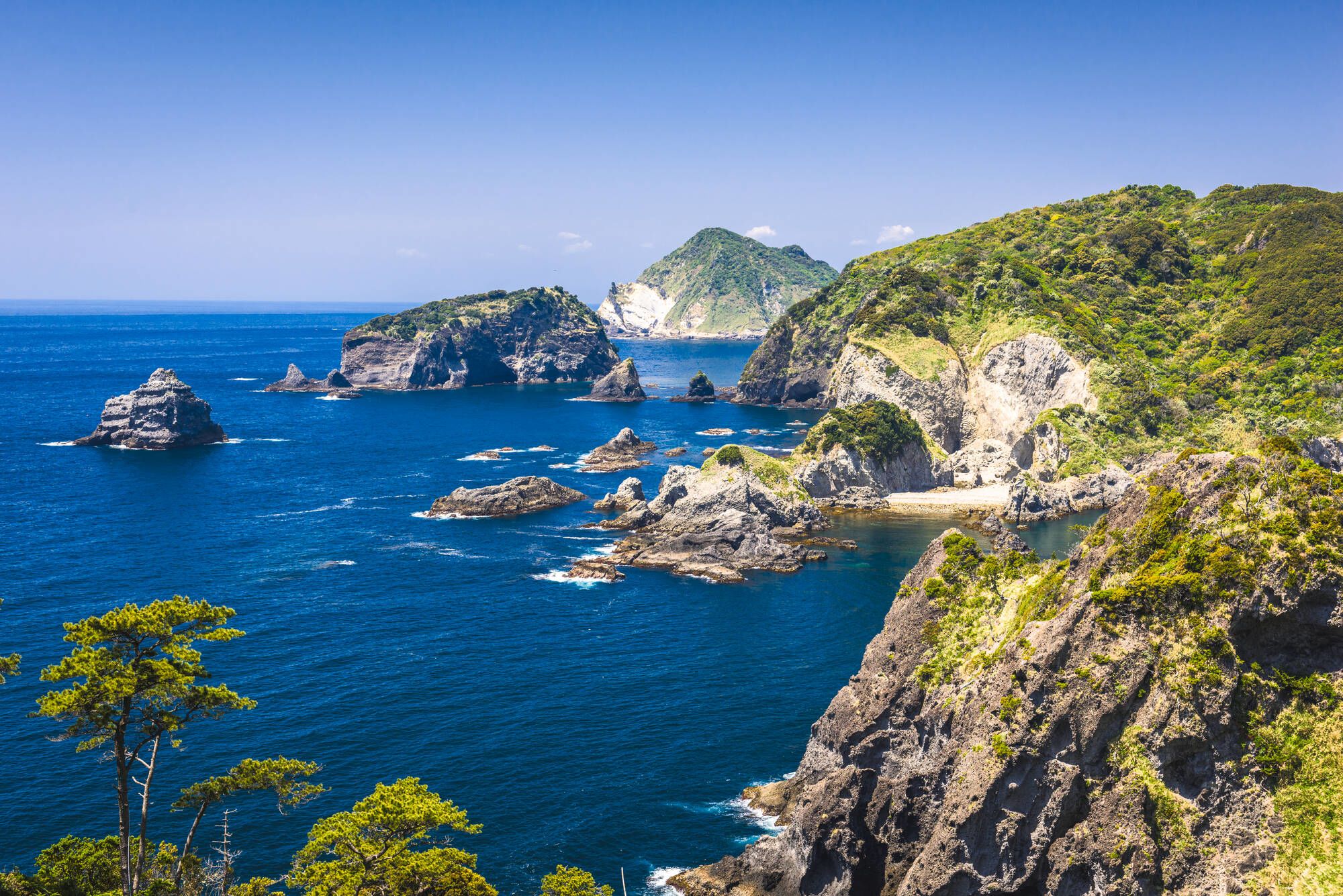 Circuit en voiture de location «Péninsule d’Izu» de Tokyo: Natural coastal landscape of Izu Peninsula